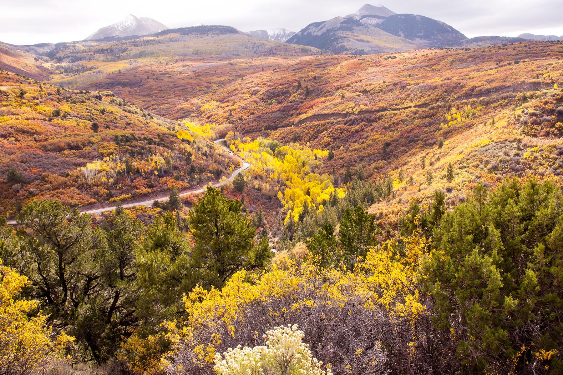 14_UnexpectedPlacesForFallFoliage__MoabUtah_dreamstime_xxl_46629263