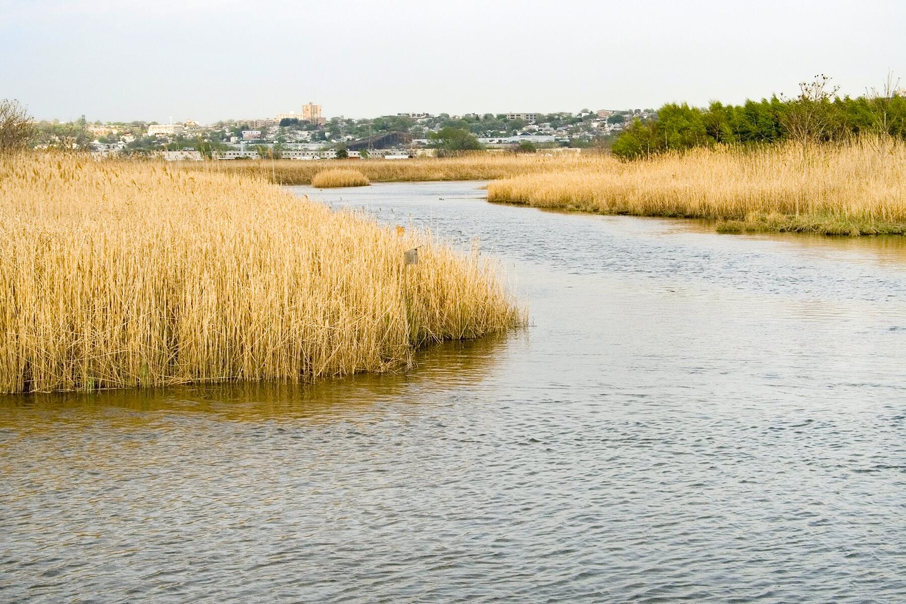 10_WeirdNewJersey__Meadowlands_dreamstime_xxl_2960330
