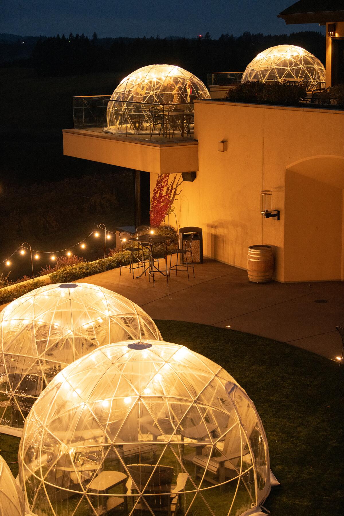 Willamette Wine Pods at night_VERTICAL_Photo by Andrea Johnson
