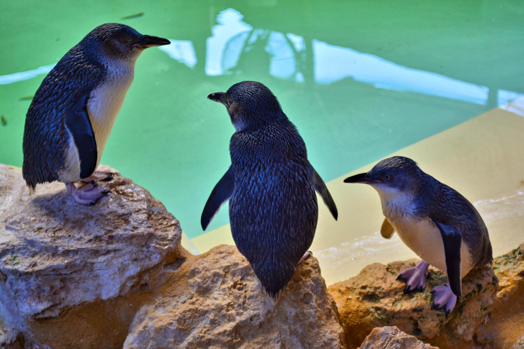 Discovery centre