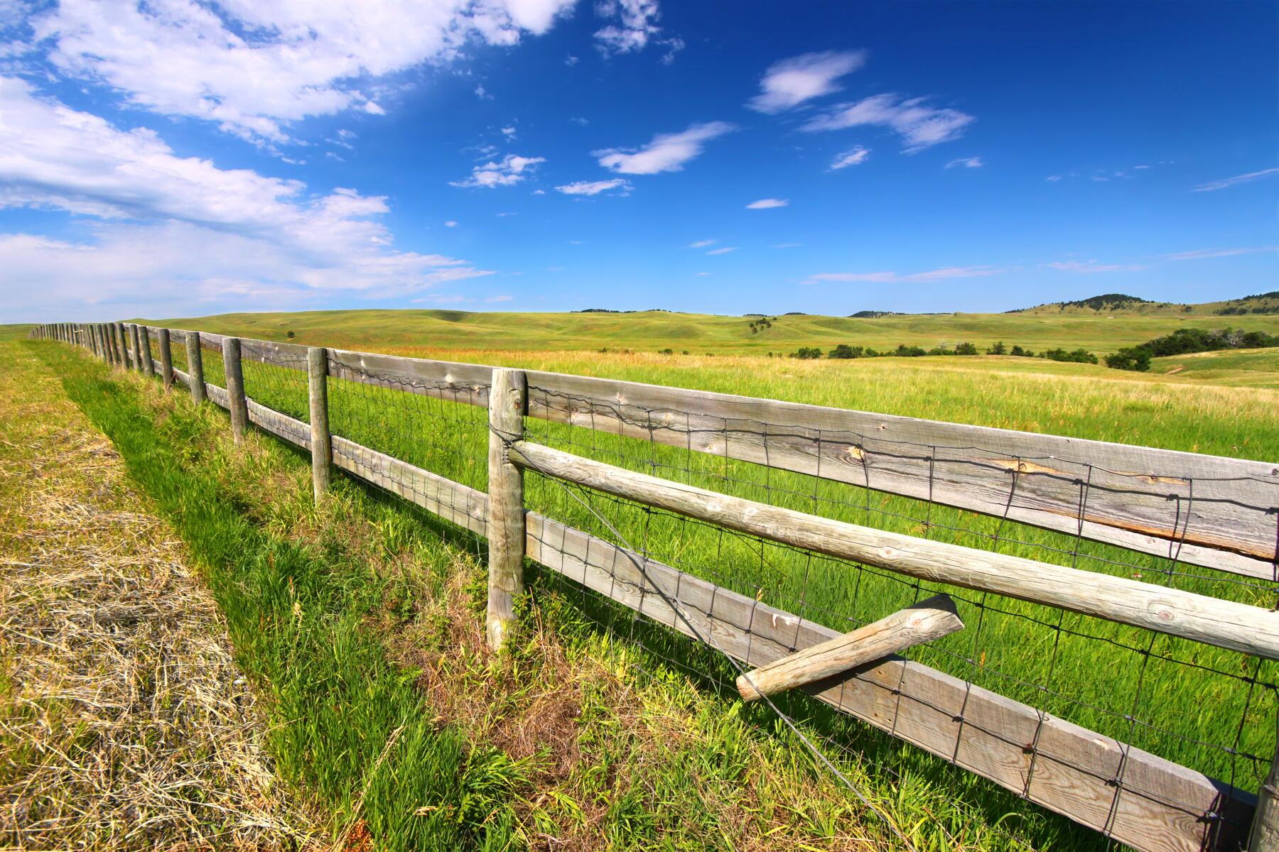 shutterstock_111158231 shutterstock_111158231