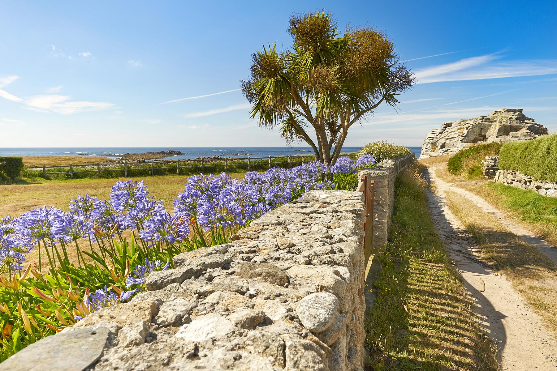 02_FrenchIslands__IleDeBatz_shutterstock_148741079
