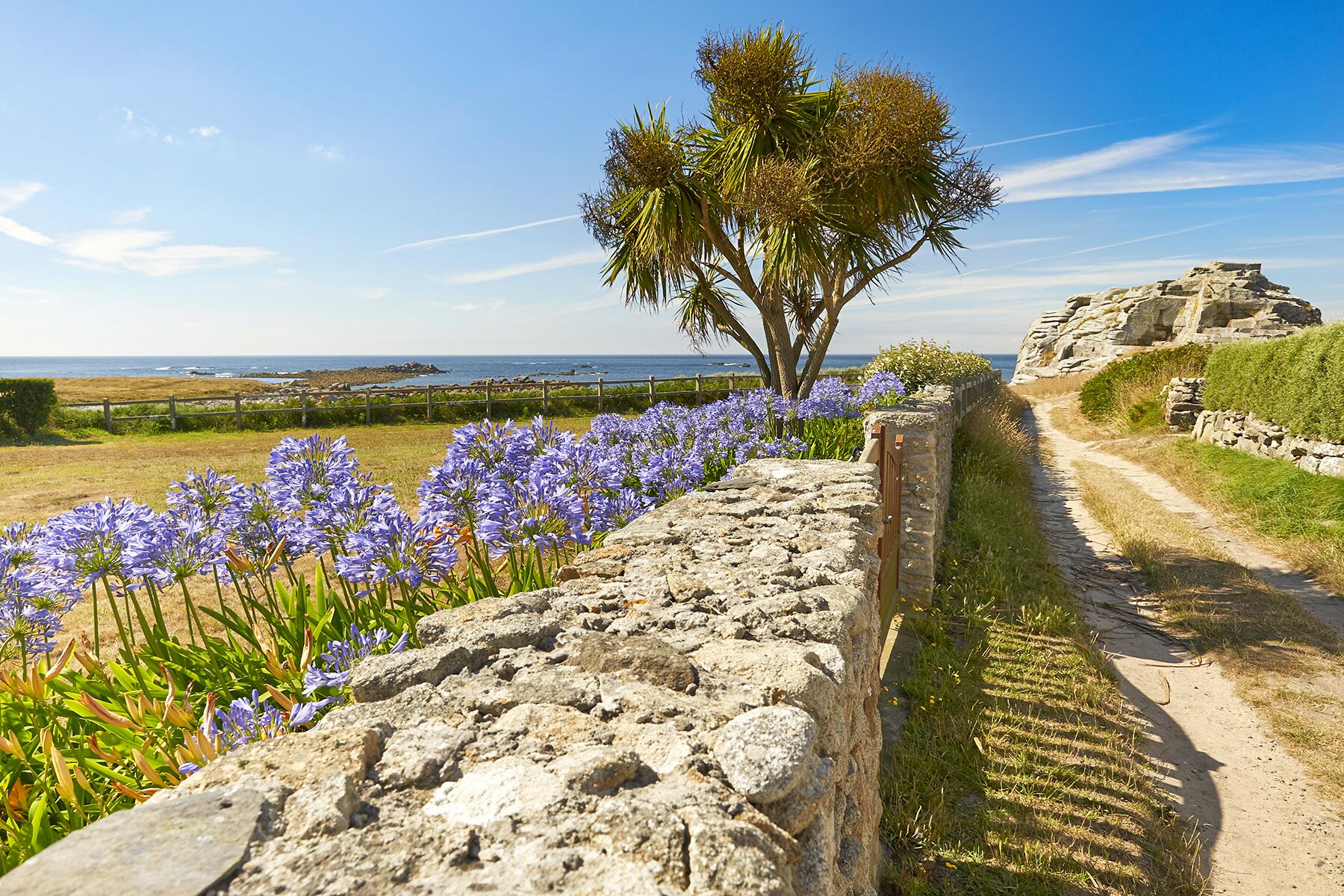 grand tour french island