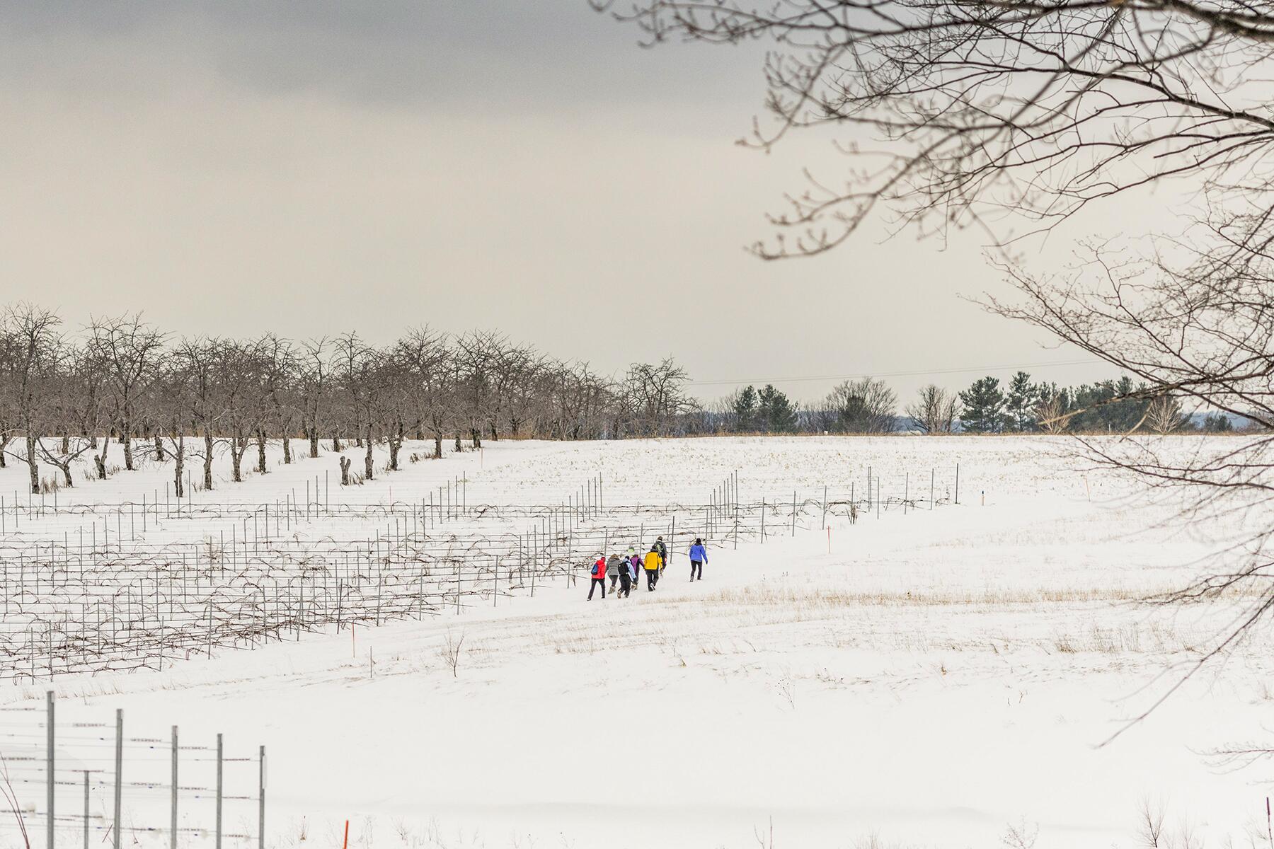 13_RomanticValentineSplurges__VineToWineSnowshoeTour_13 TDTC-1348