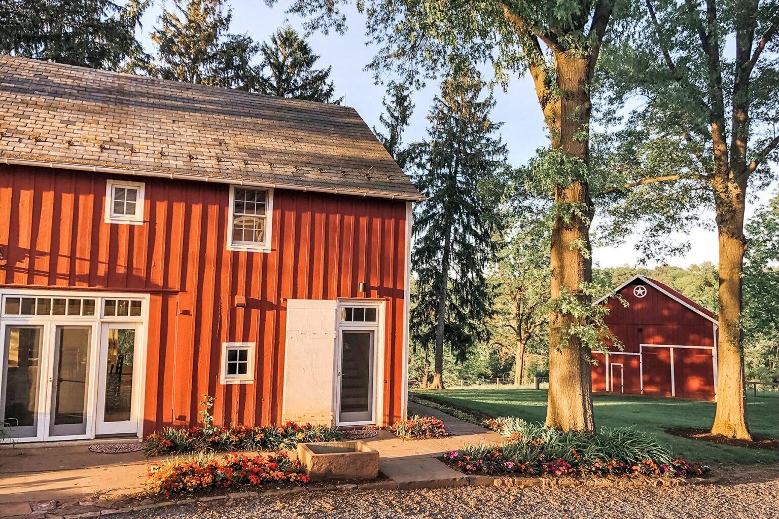 10 PetFriendly Airbnbs to Visit With Your Furry Friend