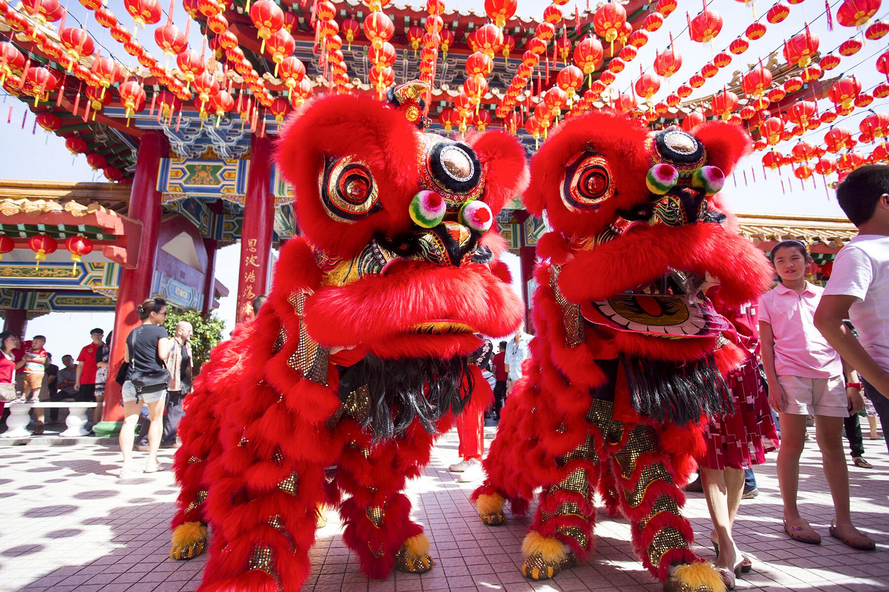 Chinese New Year Year Of The