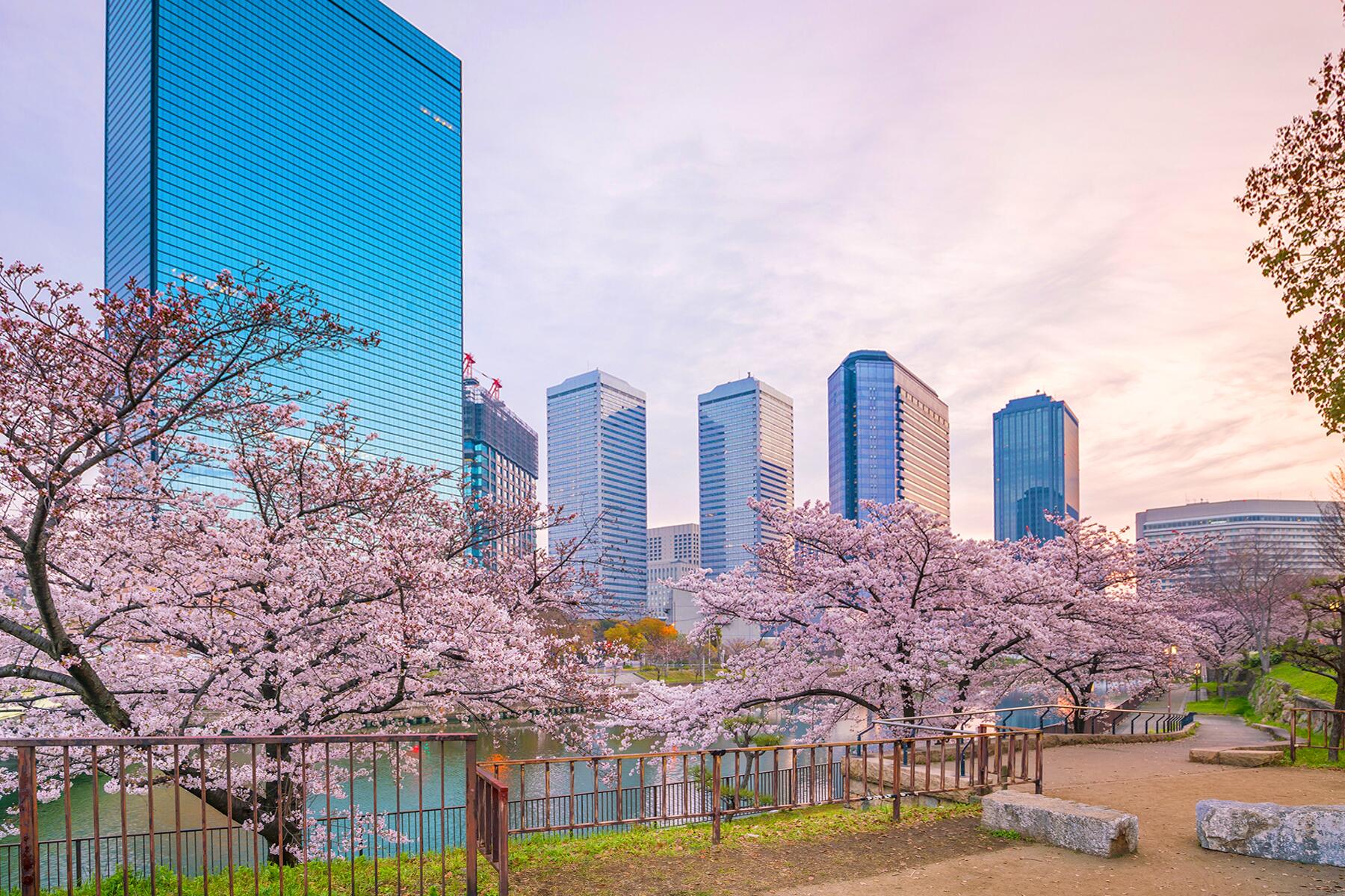 08_PlacesToSeeCherryBlossoms__OsakaJapan_shutterstock_626203841