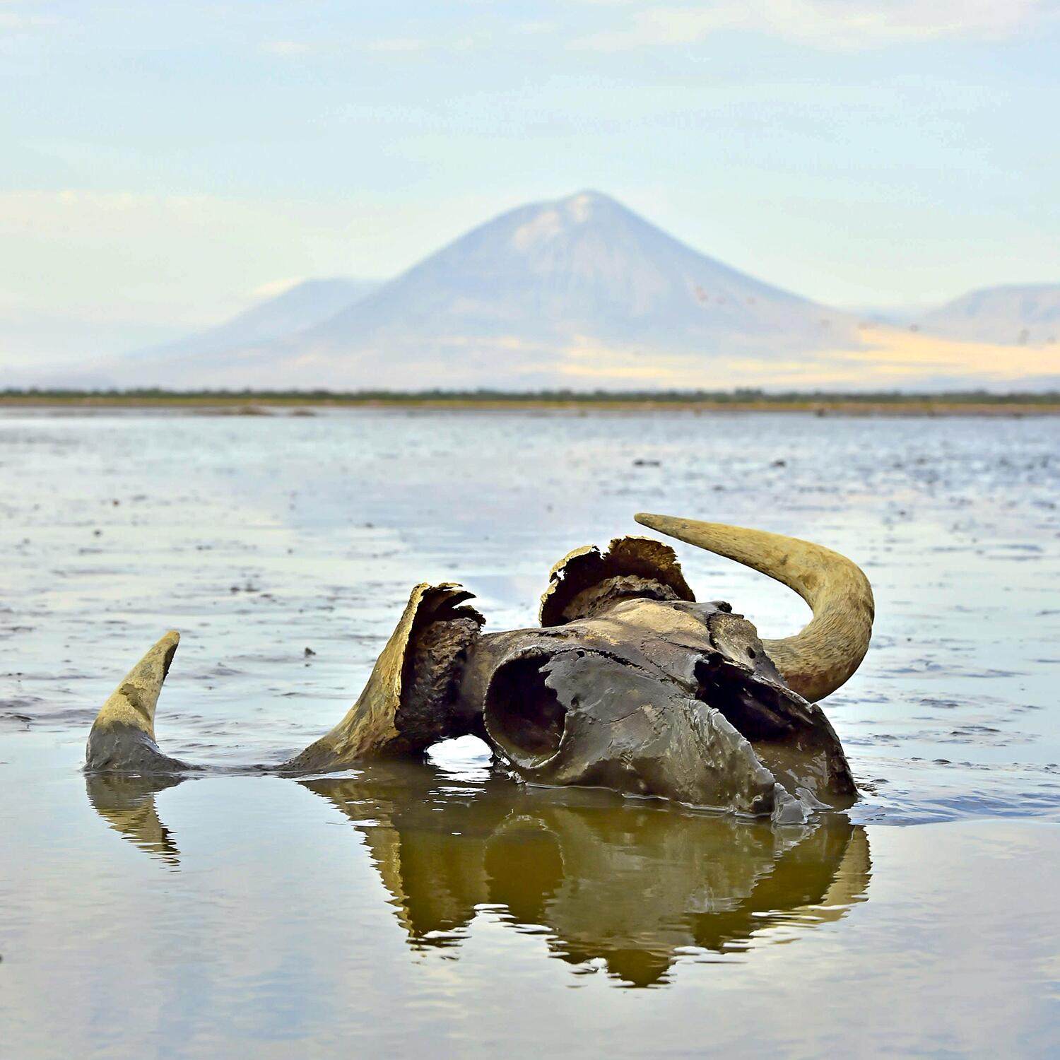 09_MostDangerousBodiesOfWater__LakeNatron_shutterstock_1162411426