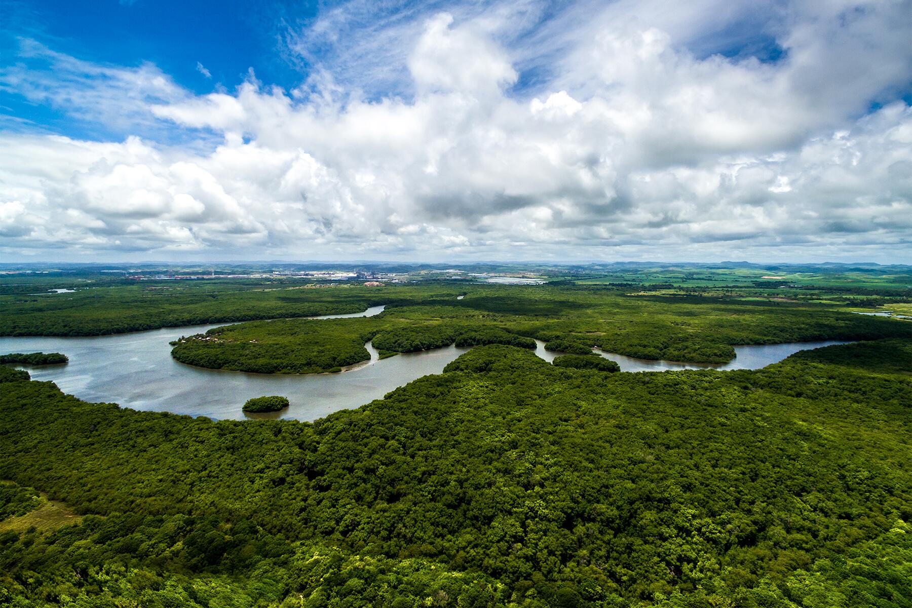 14_MostDangerousBodiesOfWater__AmazonBasin_shutterstock_476663035