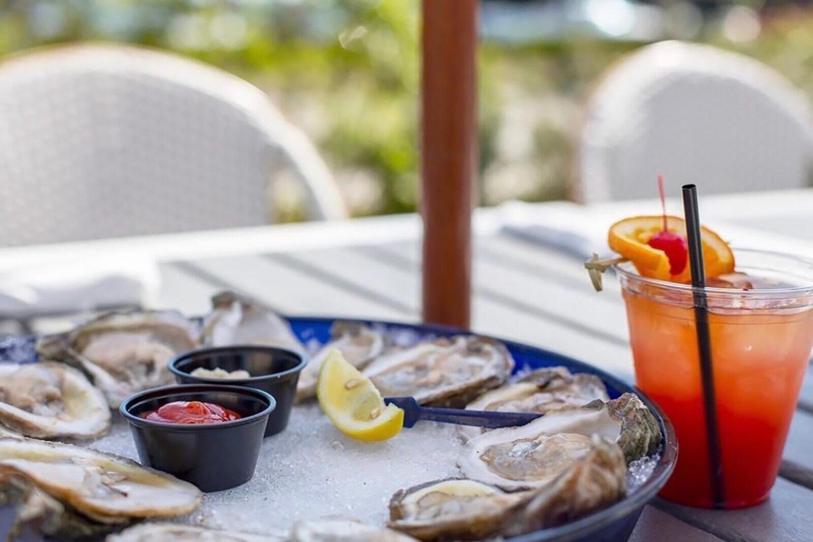 Oyster Farming and The Best Oyster Bars in Panama City