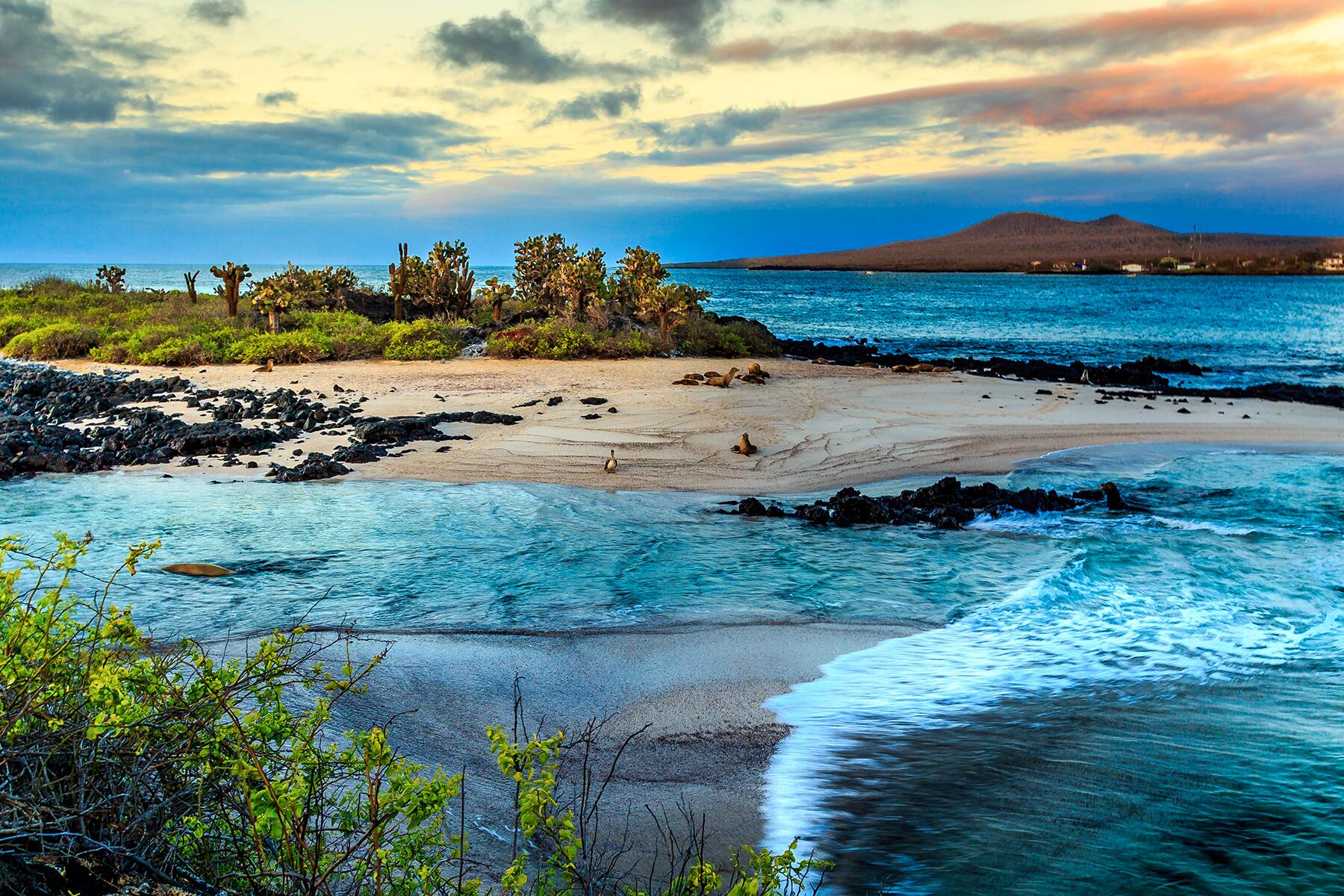 01_BucketListMistakes__GalapagosIslands_shutterstock_263605307