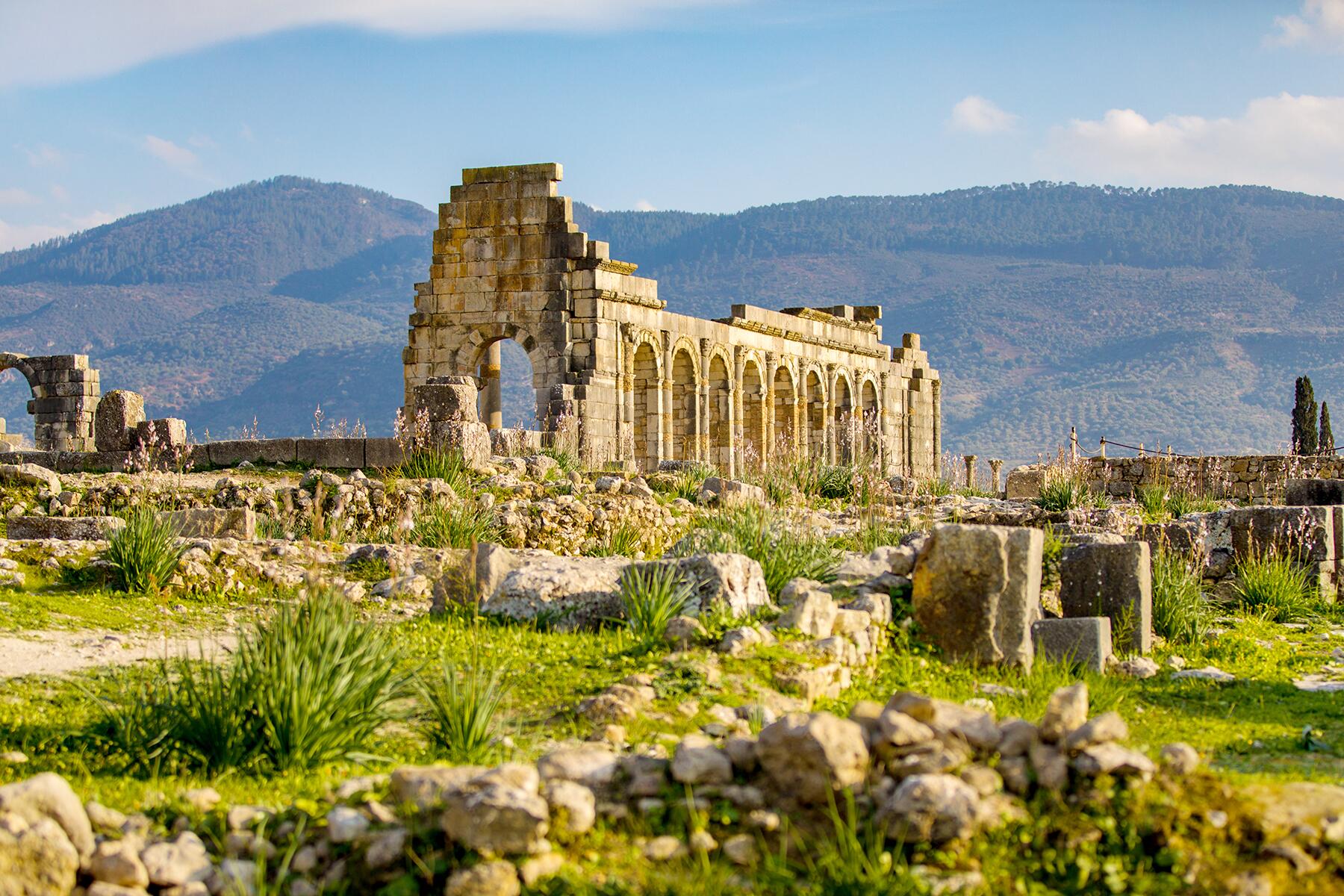 06_AncientRuins__Volubilis_shutterstock_1206196393