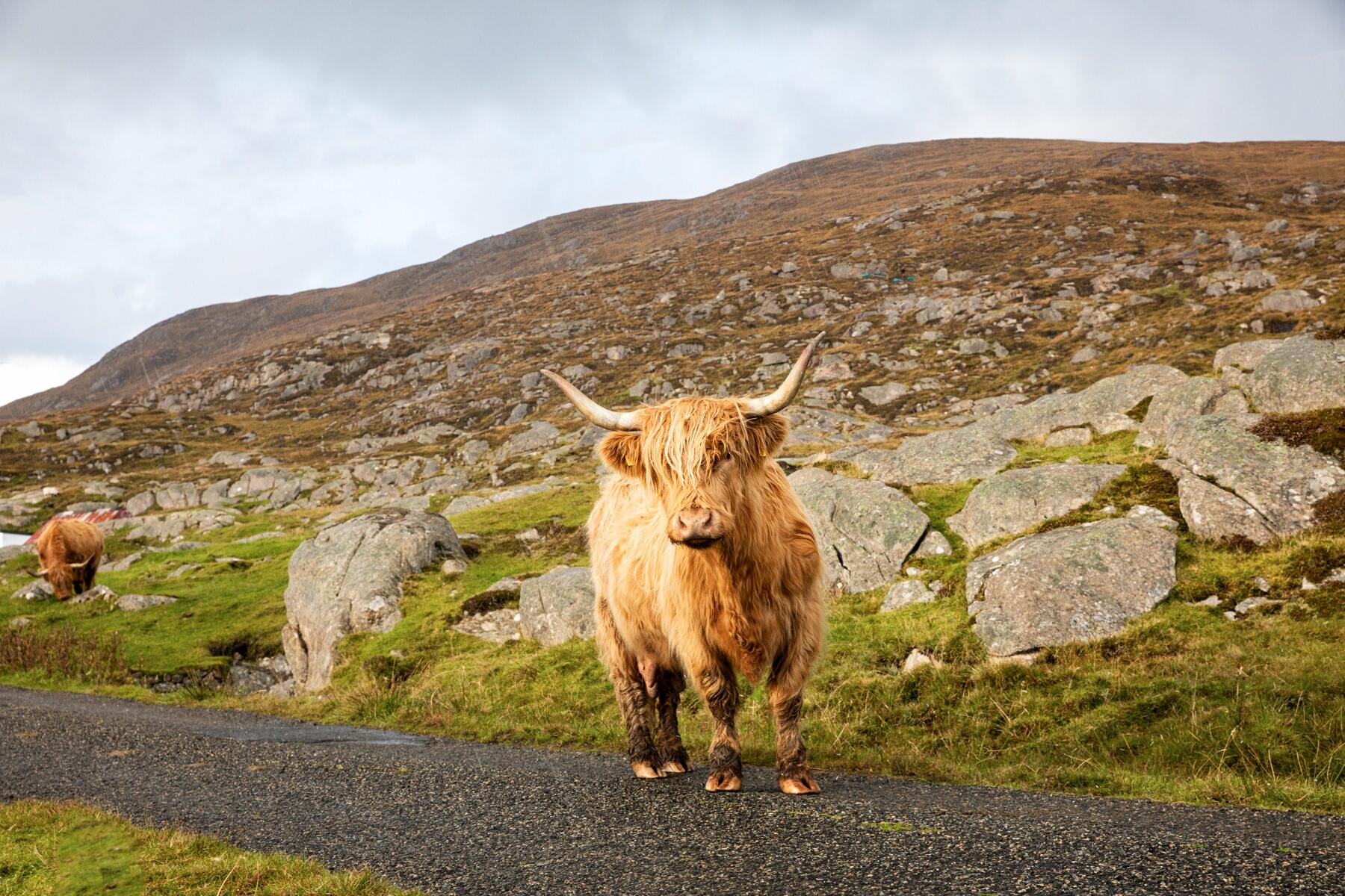 10 epic places-Outer Hebrides-07