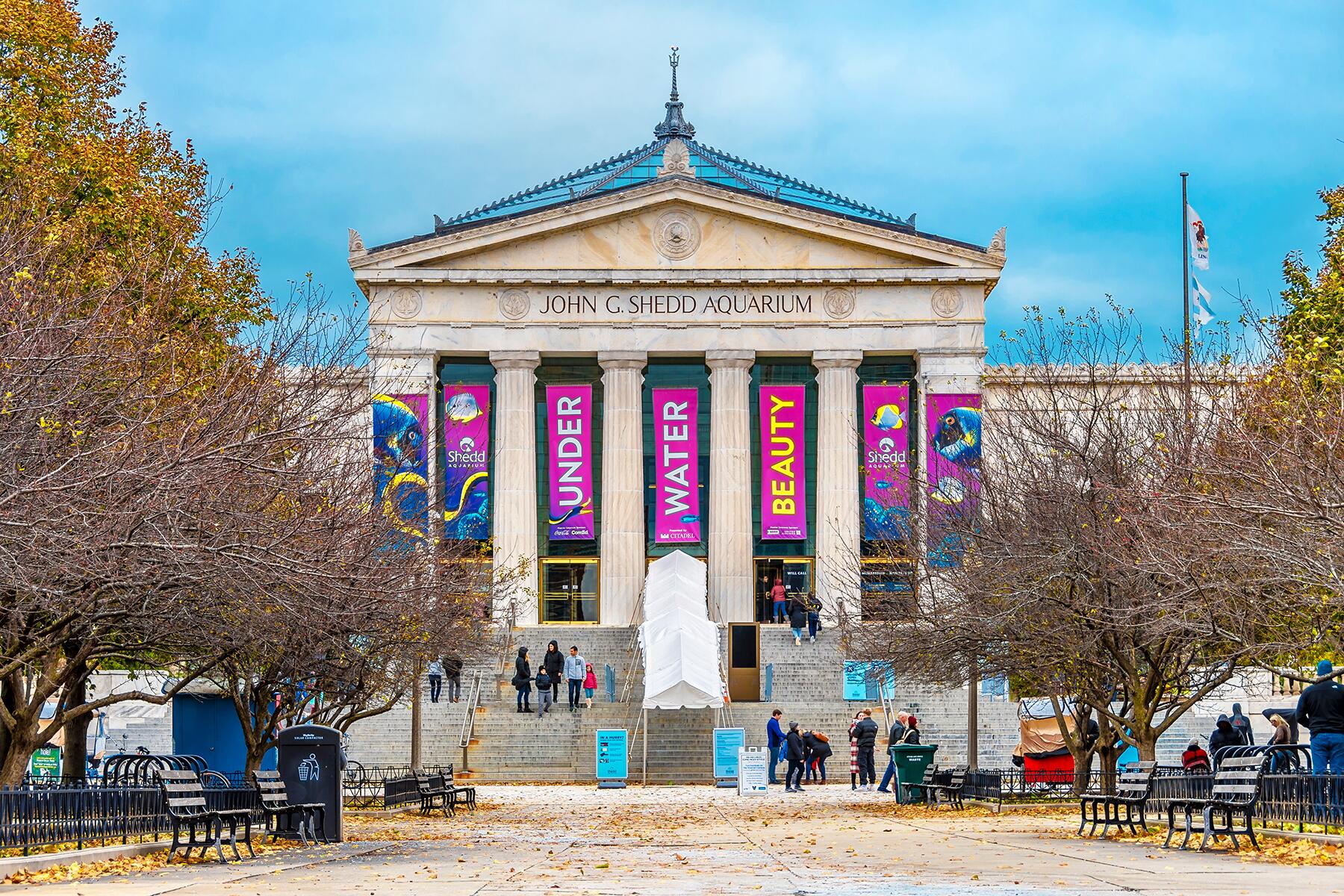 03_UltimateChicago__Museums_shutterstock_1552247918