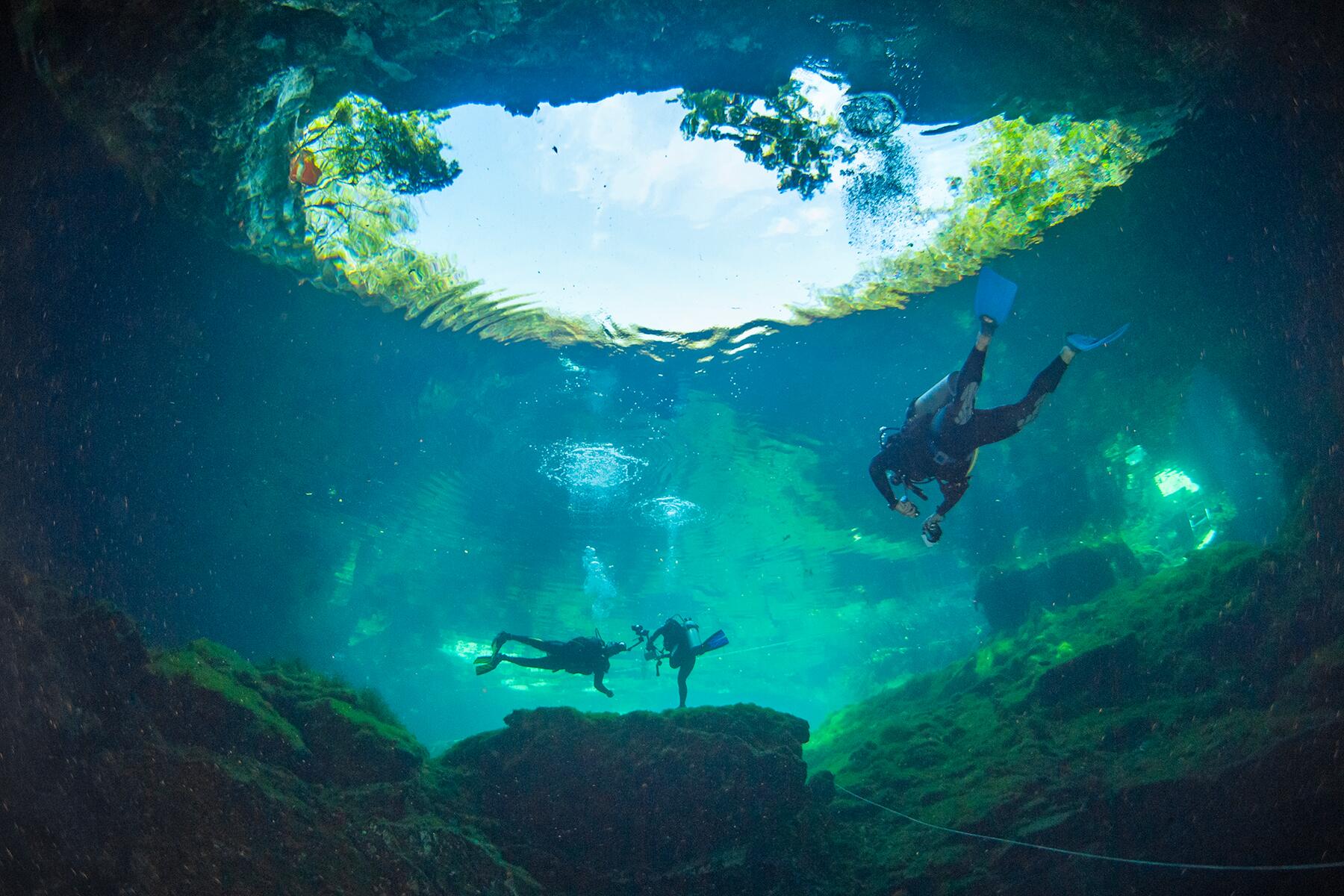 03_UltimatePlayaDelCarmen__GoCenoteHopping_shutterstock_1946029810
