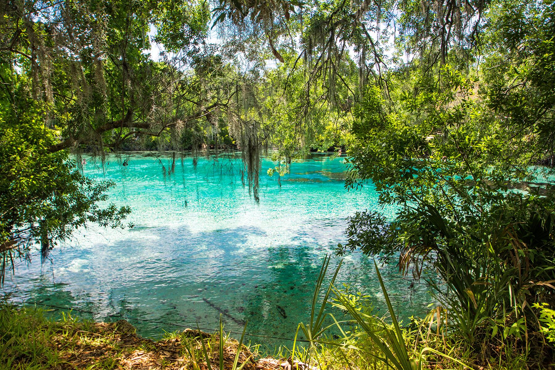 08_USBodiesOfWater__SilverGlenSprings_shutterstock_1068549041