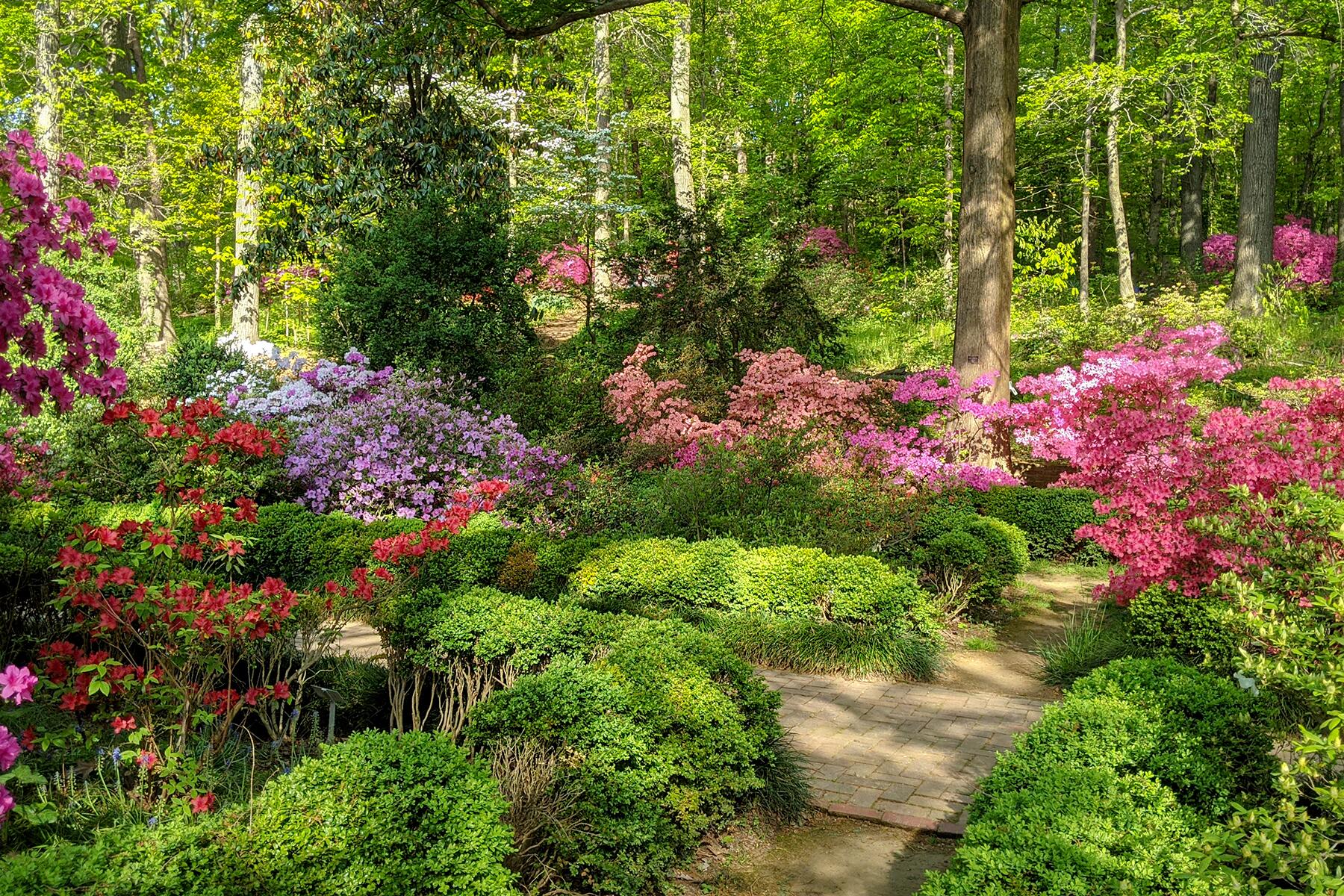 12_UltimateDC__USNationalArboretum_shutterstock_1962867460