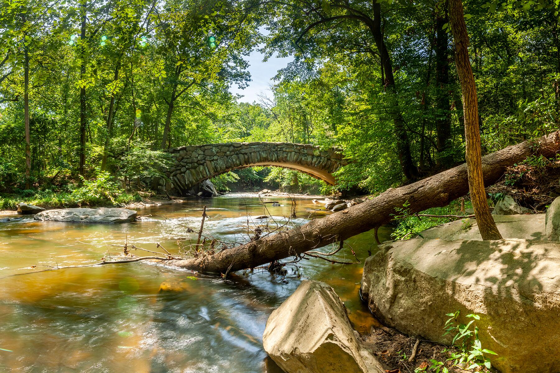 20_UltimateDC__RockCreekPark_shutterstock_1579435237