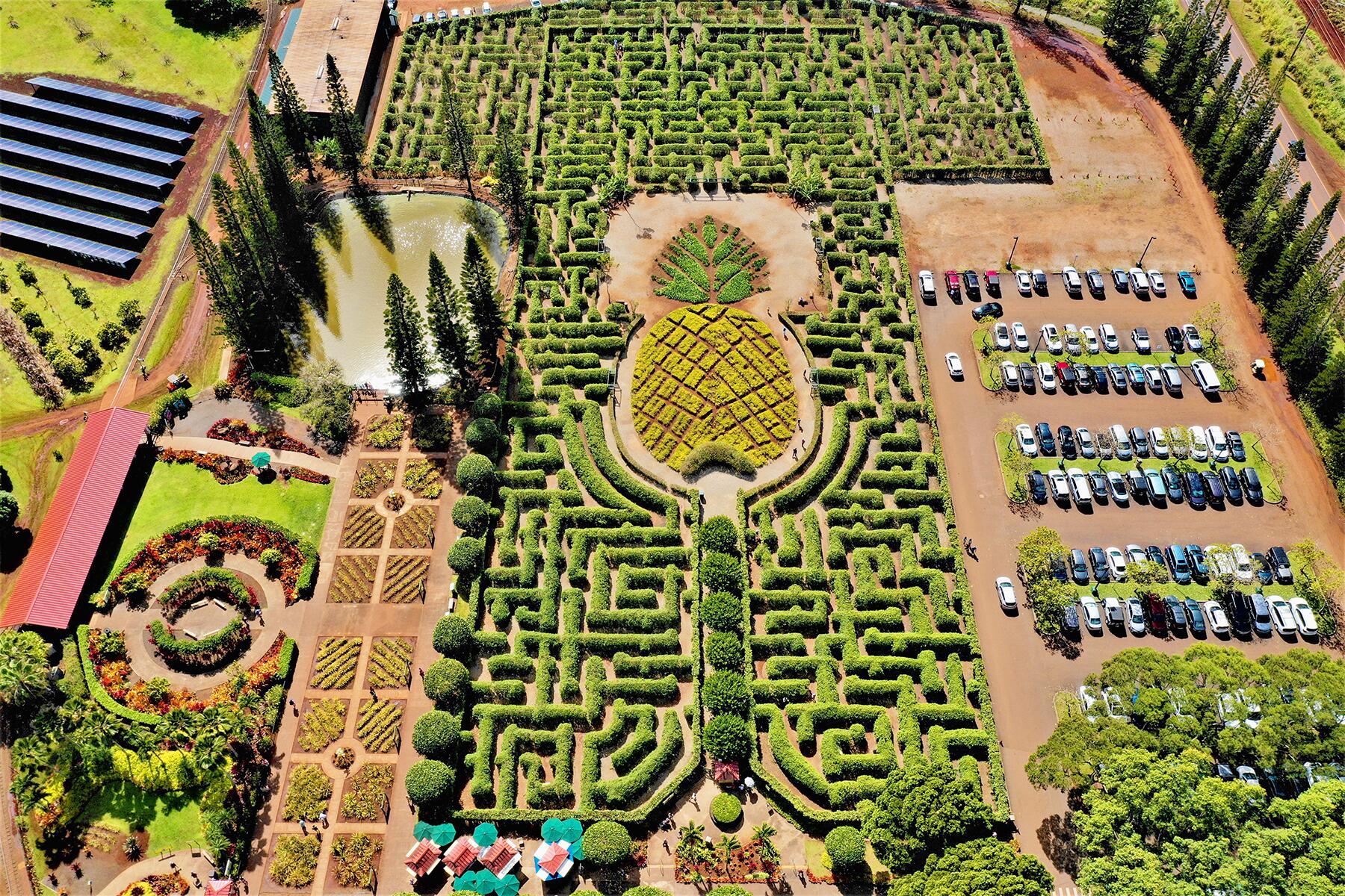 27_UltimateOahu__DoleMaze_shutterstock_1357341797
