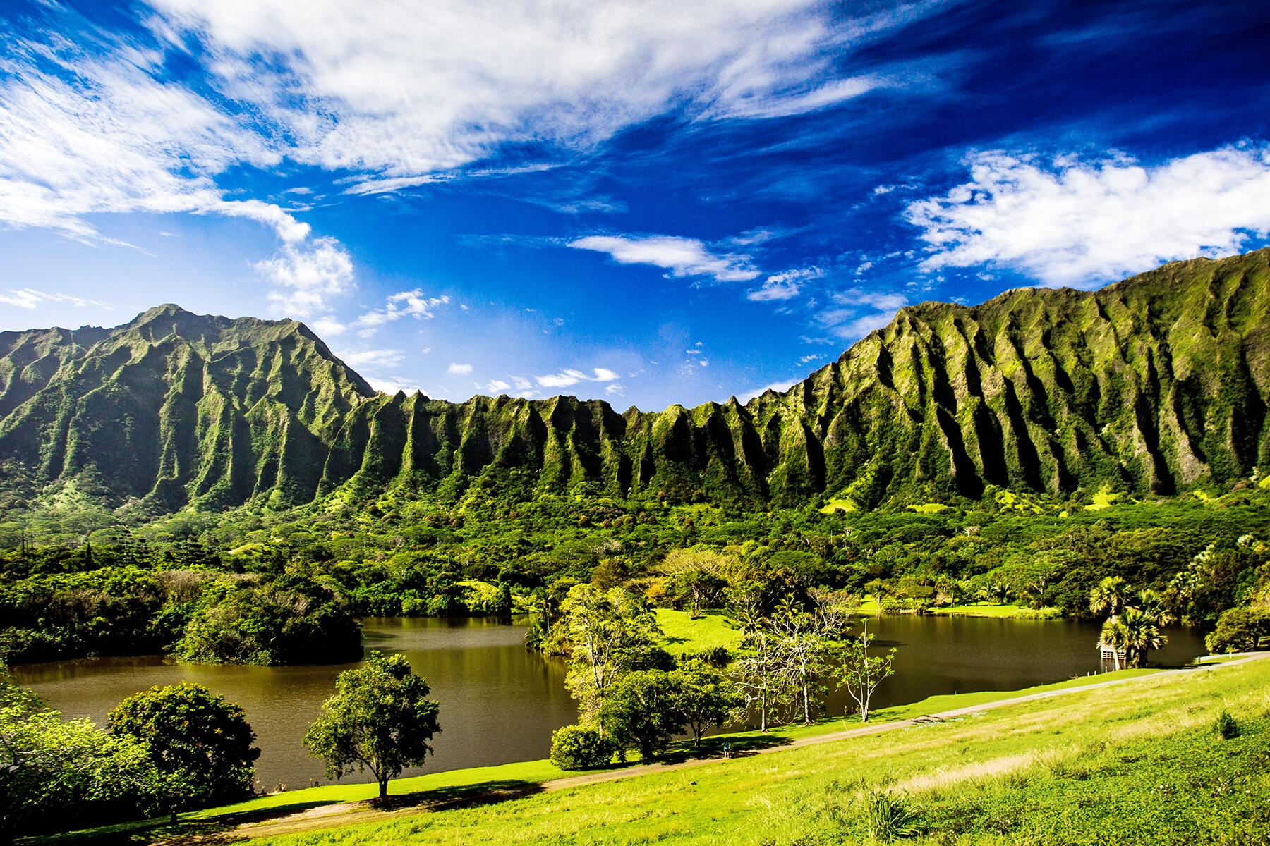 28_UltimateOahu__Ho'omaluhiaBotanicalGarden_shutterstock_557780917