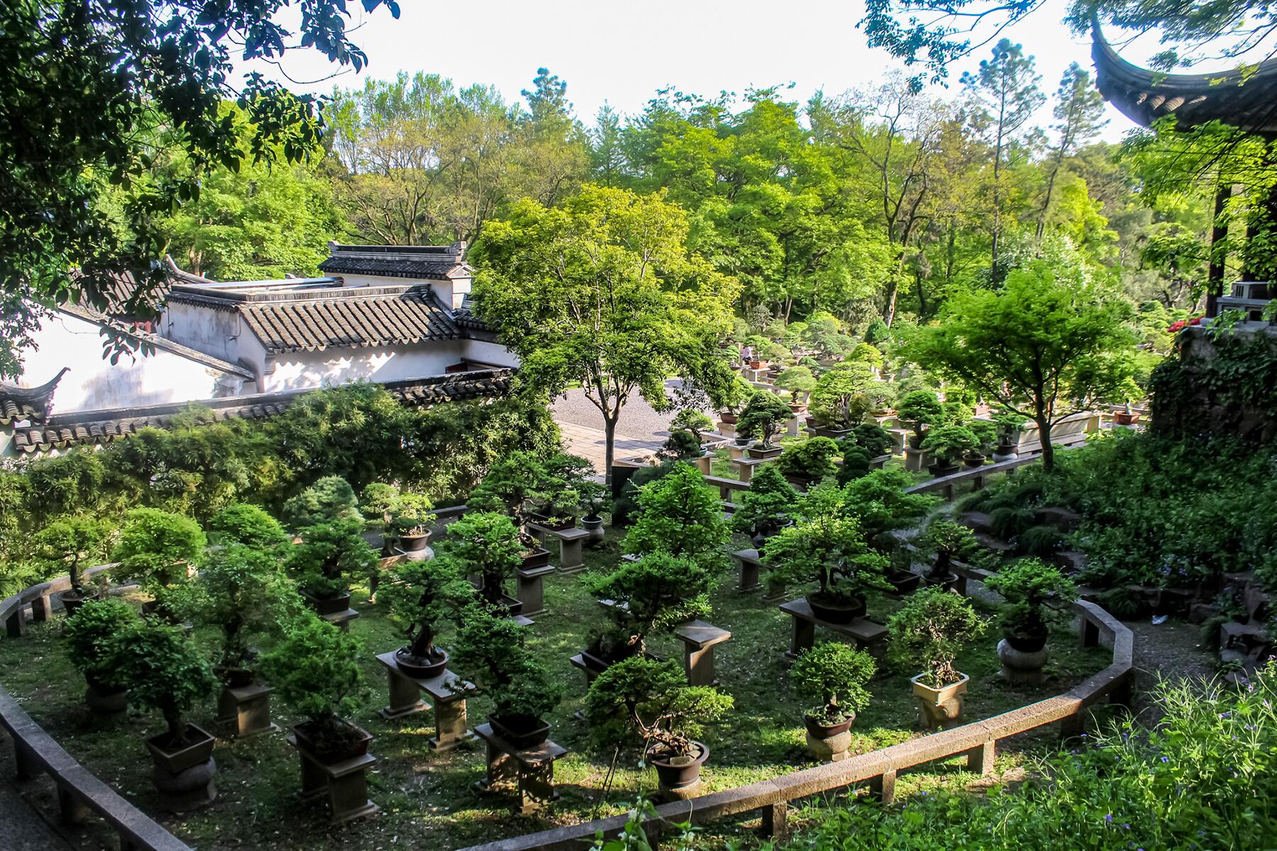 photo 3 - credit dana givens- gardens of suzhou