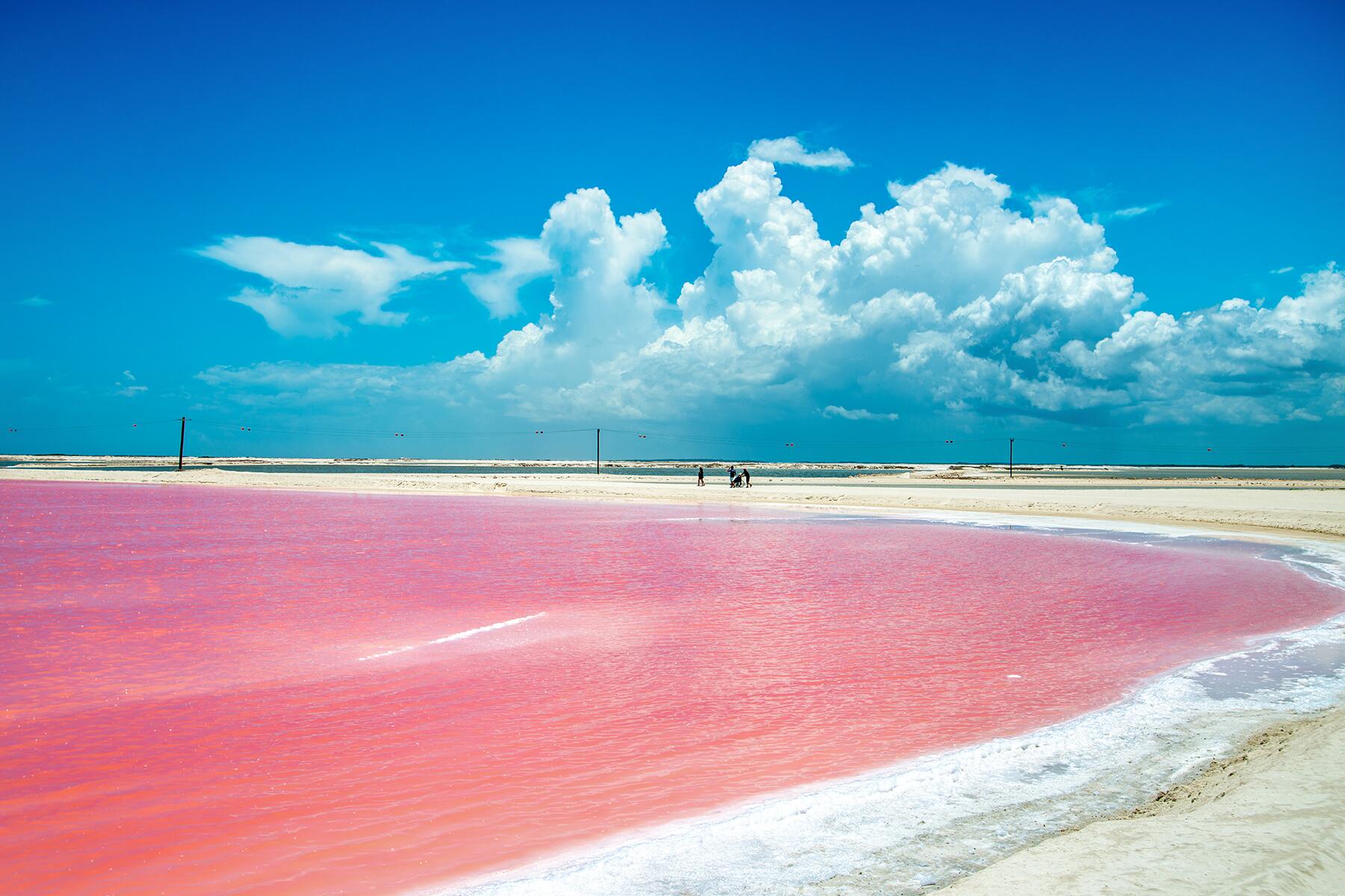 14_UltimatePlayaDelCarmen__PoseAtPinkLake_shutterstock_1746837914