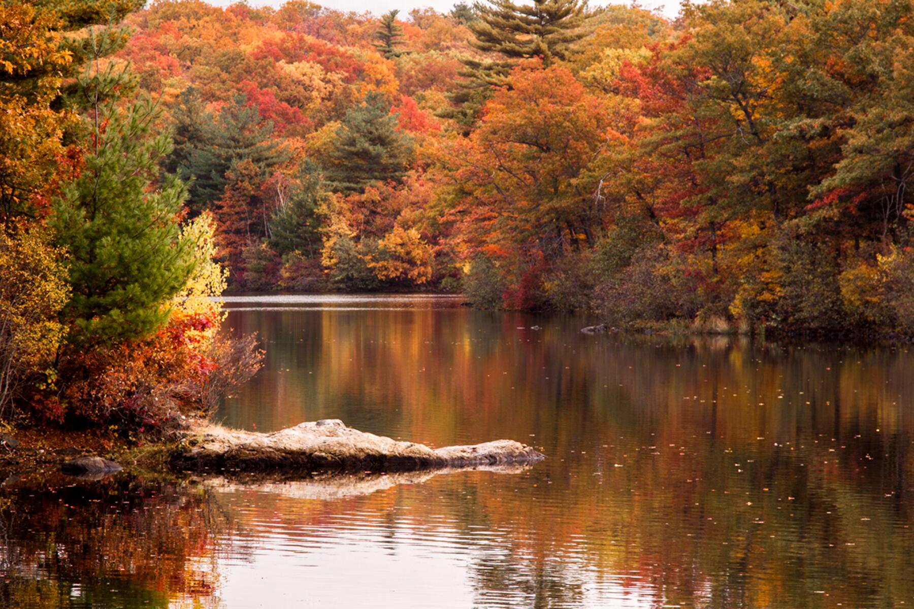15-FallFoliage-EssexByway-11356268783_cd6f4fbde6_o