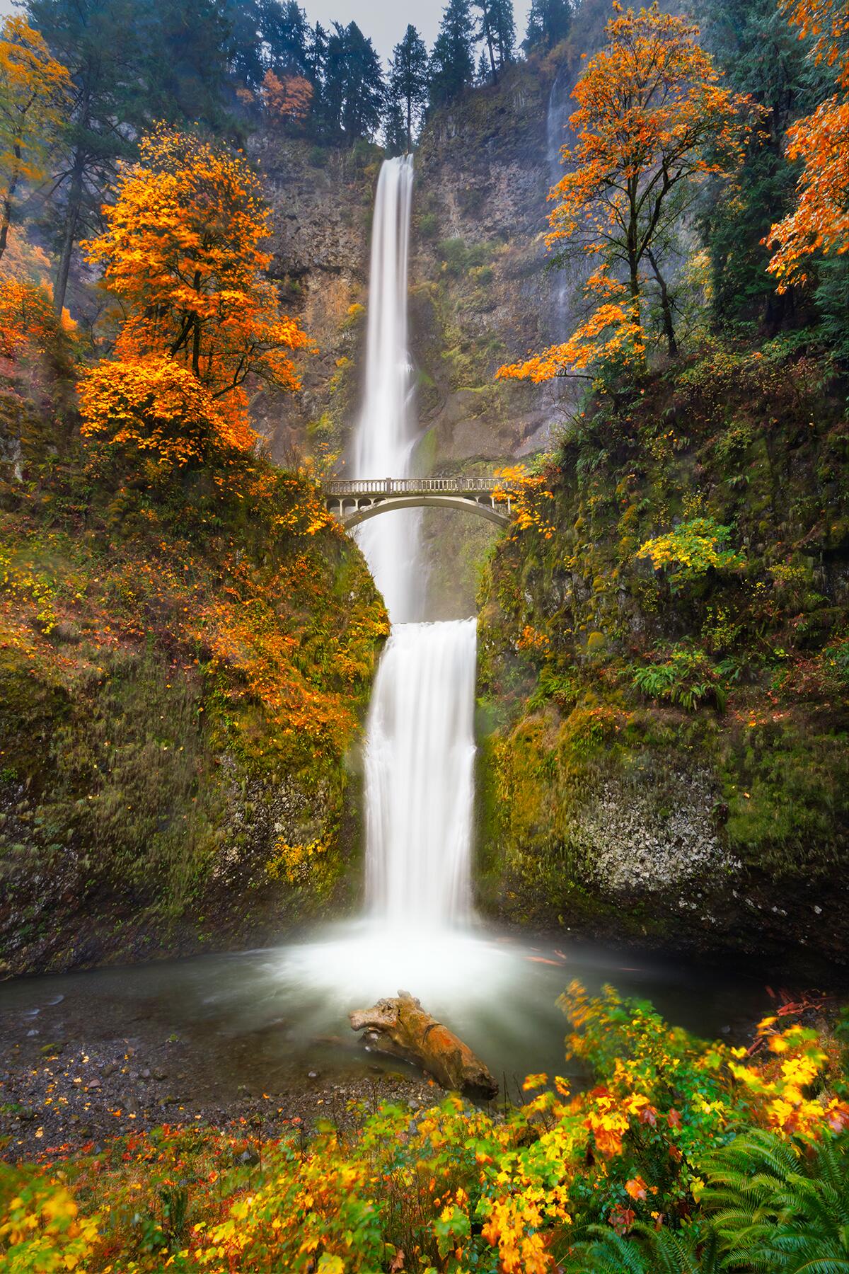 7-FallFoliage-RiverGeorge-shutterstock_448474759