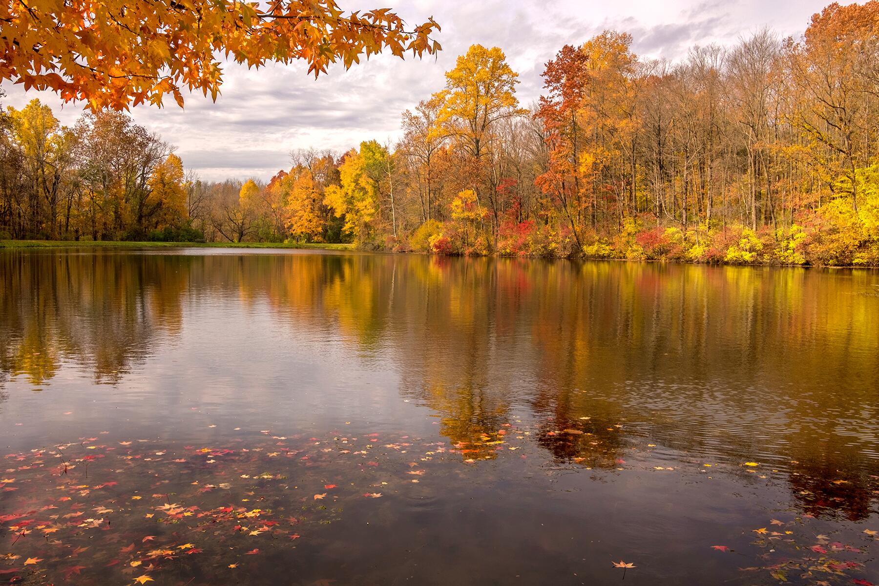 9-FallFoliage-Indianapolis-shutterstock_1330646807