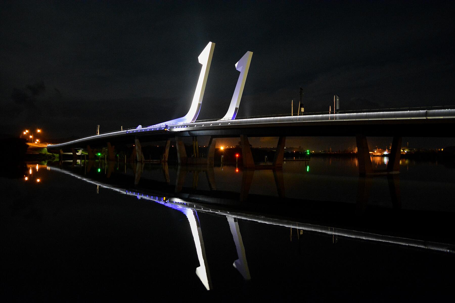 05_WorldsBestBridgeWalks__TeMatauAPoheBridge_iStock-1017089734