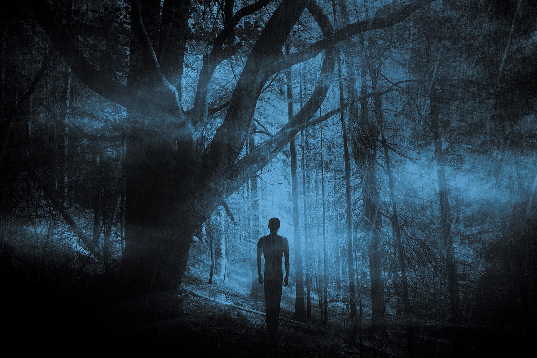06_HauntedRoads__GoldCountryCalifornia_shutterstock_1439100320