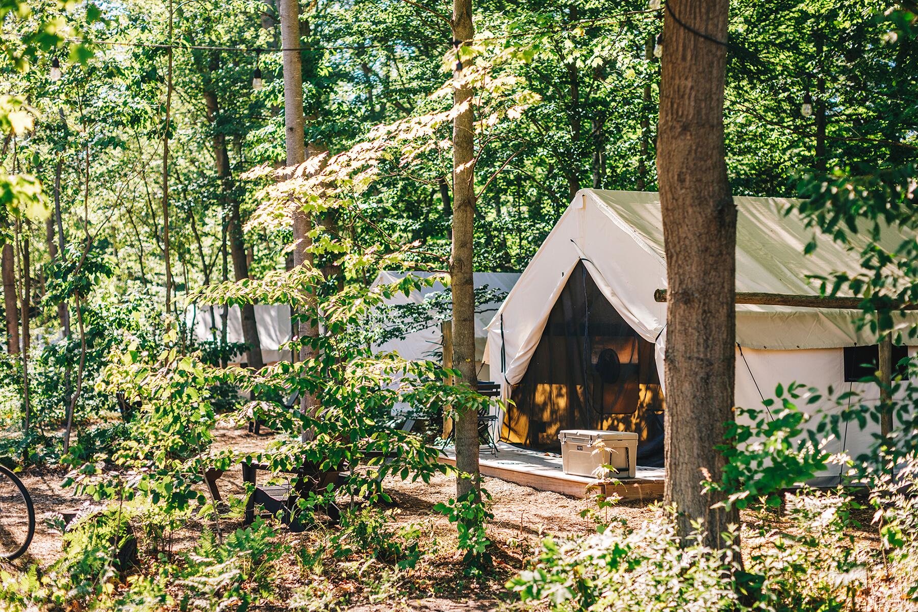 20_01_FodorsFinestHotels_USA__FieldsOfMichigan_The-Fields_Tent_Angela-Treimer 20_01_FodorsFinestHotels_USA__FieldsOfMichigan_The-Fields_Tent_Angela-Treimer