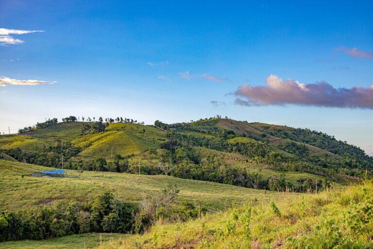 <a href='http://www.fodors.com/go-list/2022/us-territories#orocovis-municipality'>Fodor’s Go List 2022: Orocovis Municipality, Puerto Rico</a>