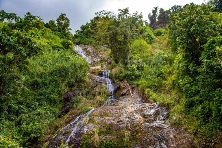 <a href='http://www.fodors.com/go-list/2022/us-territories#orocovis-municipality'>Fodor’s Go List 2022: Orocovis Municipality, Puerto Rico</a>