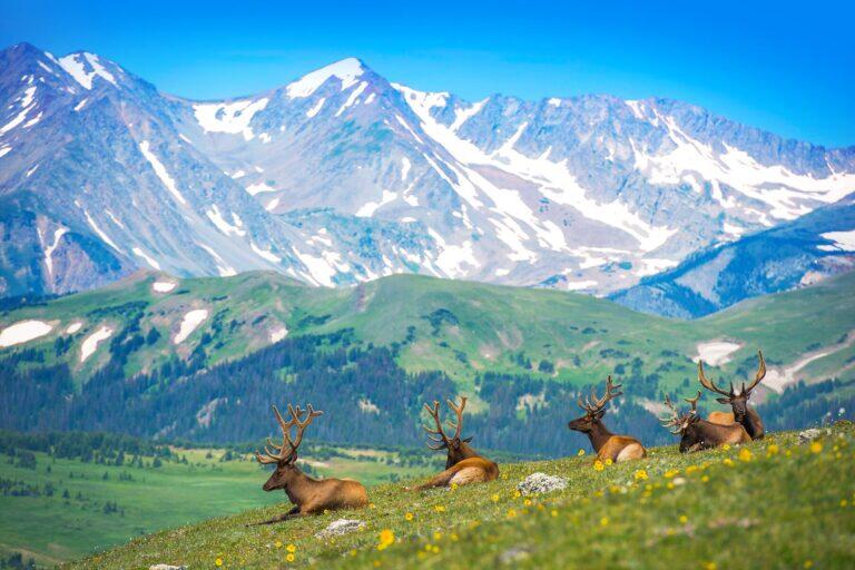 <a href='https://www.fodors.com/go-list/2022/west-usa#estes-park'>Fodor’s Go List 2022: Estes Park, Colorado</a>