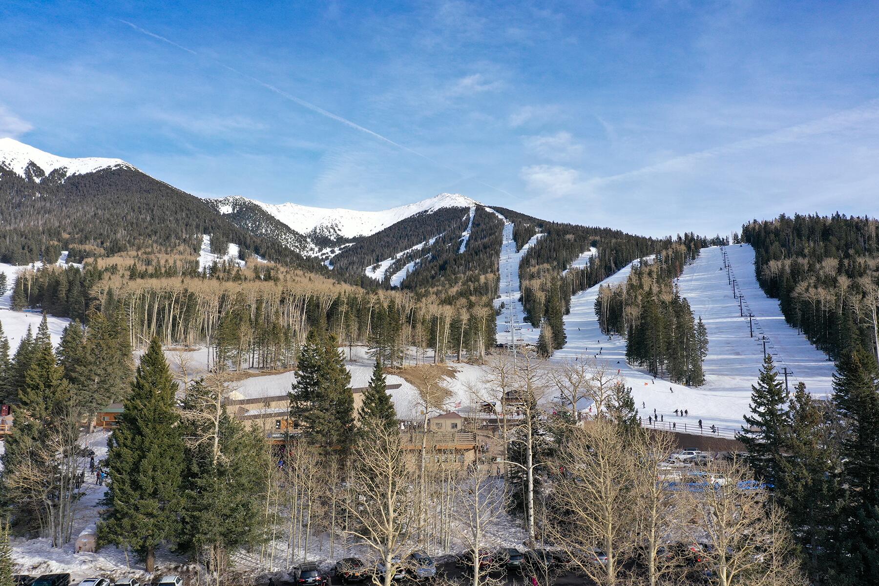 7-Ski-iStock-1206079247