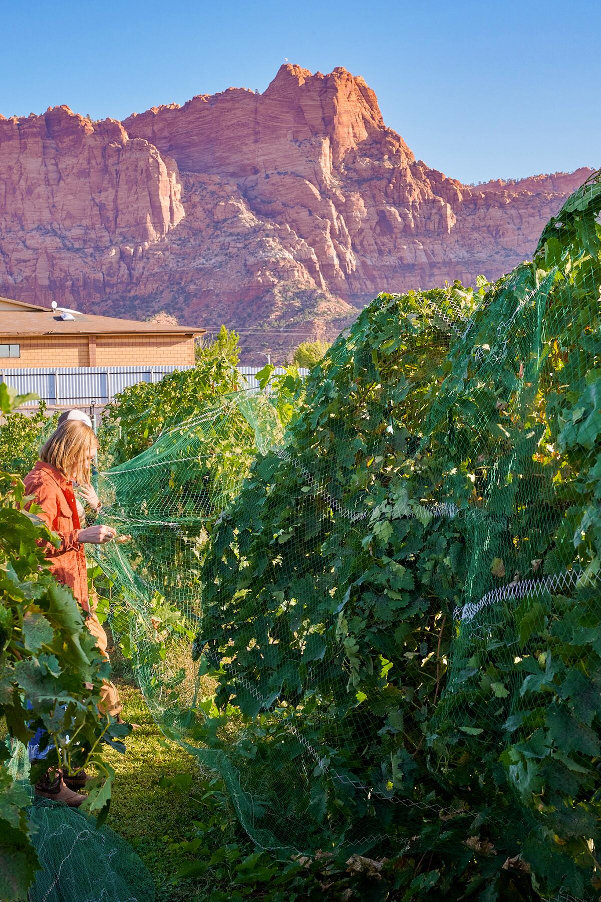 7-WineStates-Utah-_NZ72019 1