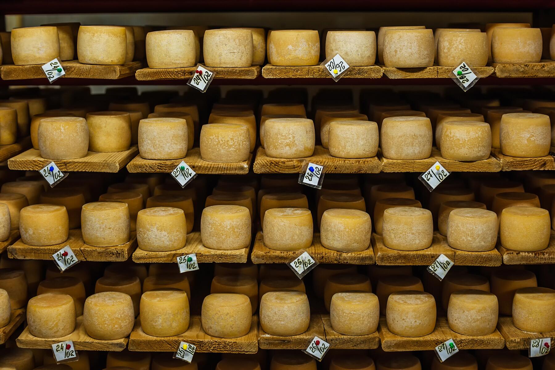 france-cheese