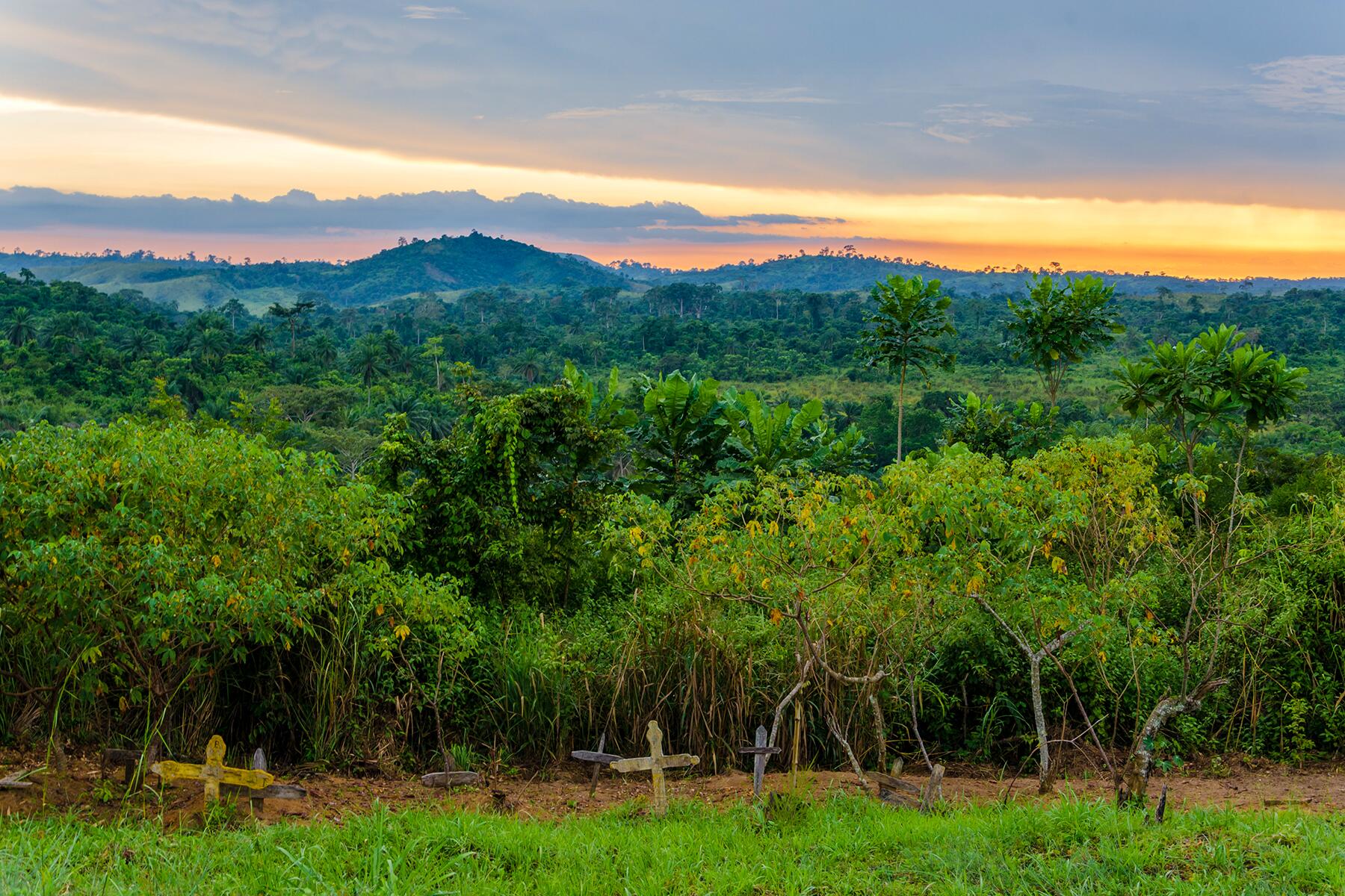 Adventurers Beware The 9 Most Dangerous Jungles in the World Fodors Travel Guide