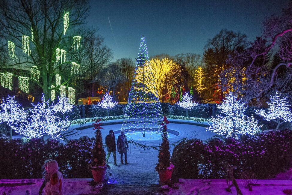 The Best Gardens to Visit During the Holidays