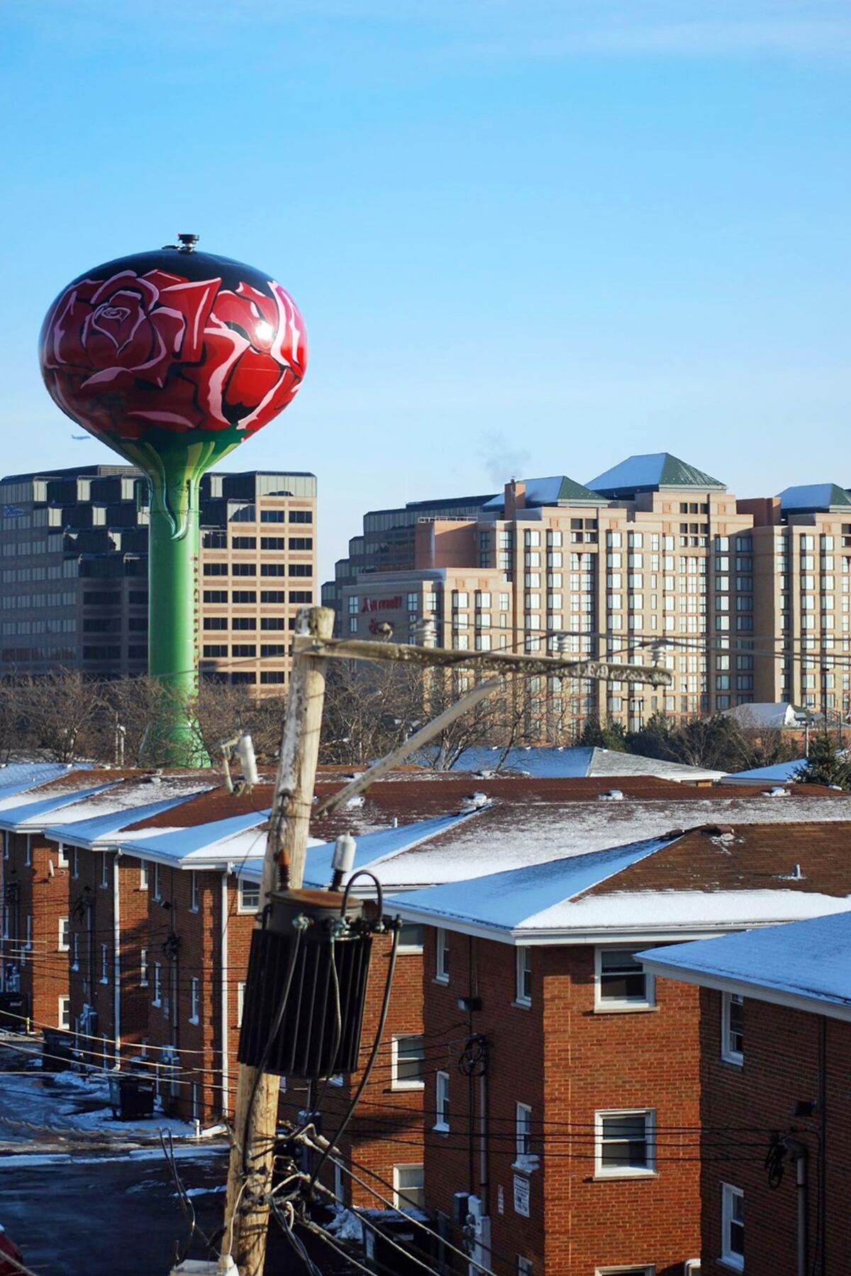 The Coolest, Most Interesting Water Tower Tanks in America