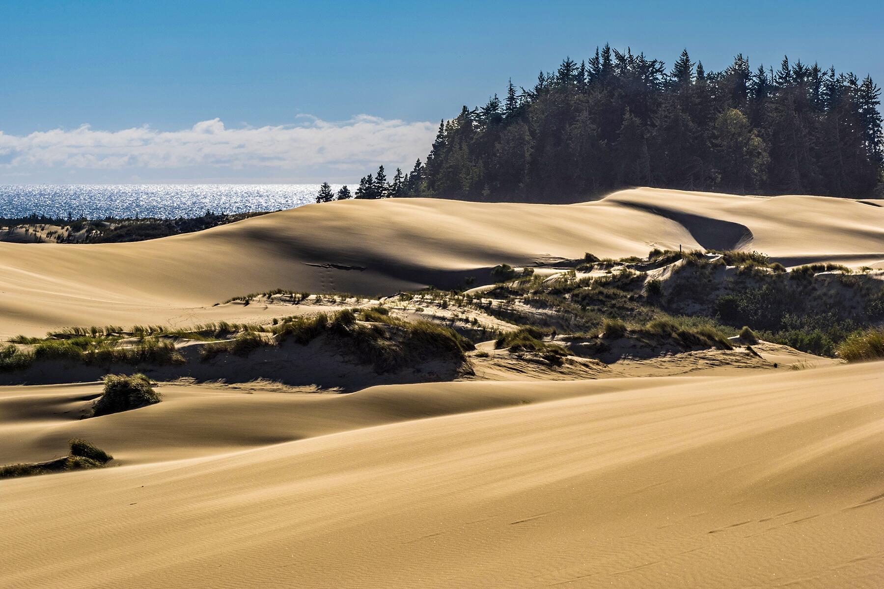 The Adventure Away Travel