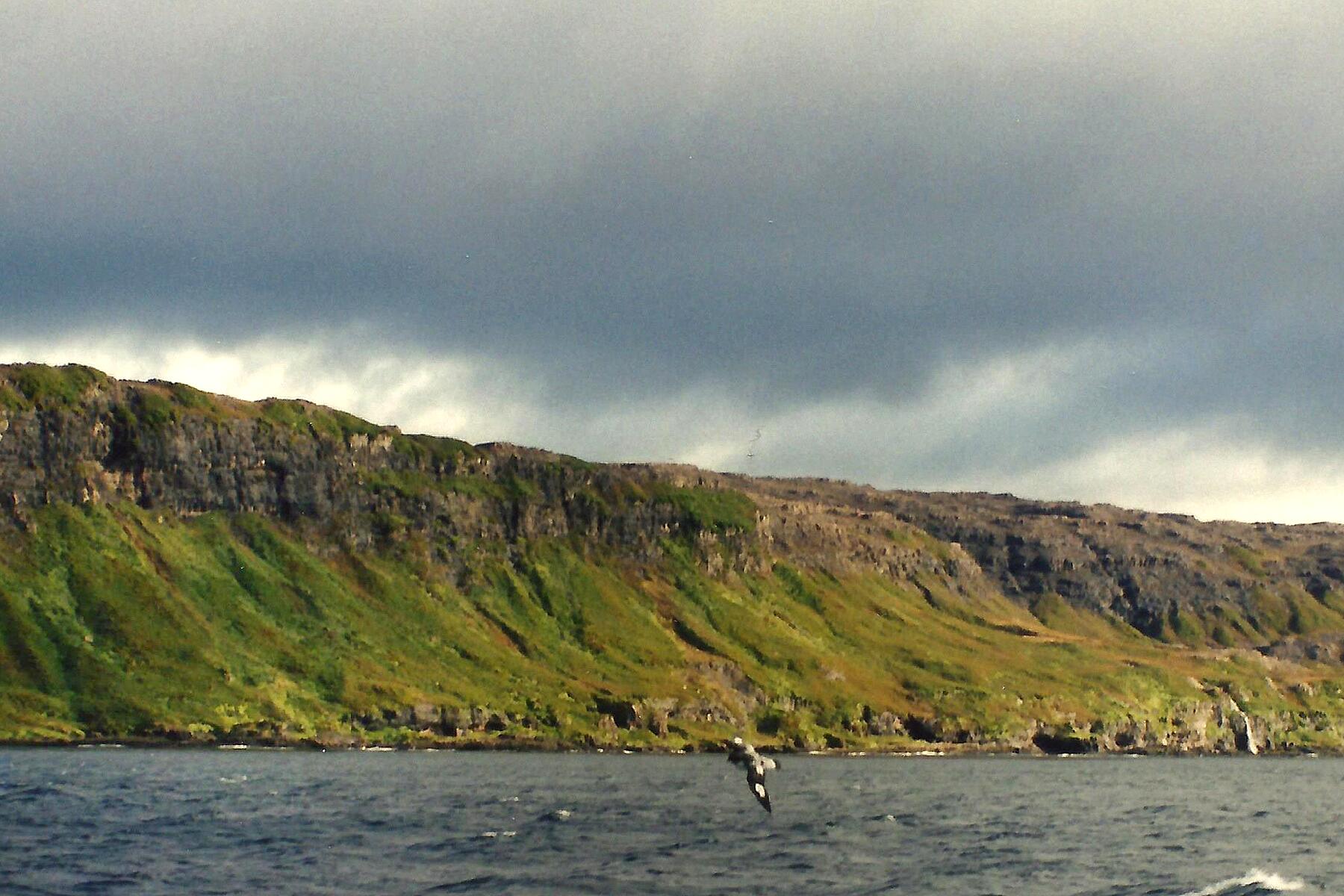 4-RemoteIslands-Île_Foch_(Kerguelen_islands)