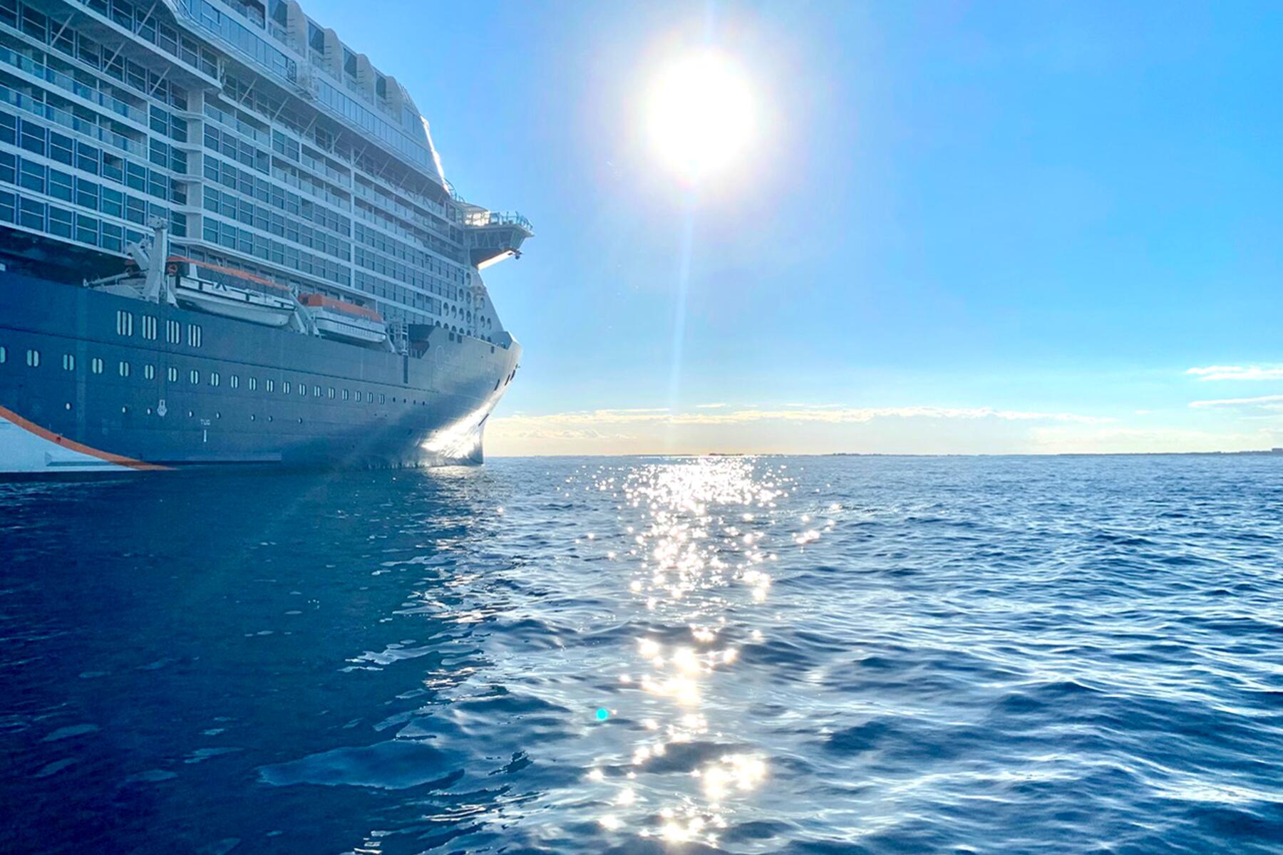 Celebrity Apex or Celebrity Edge Which