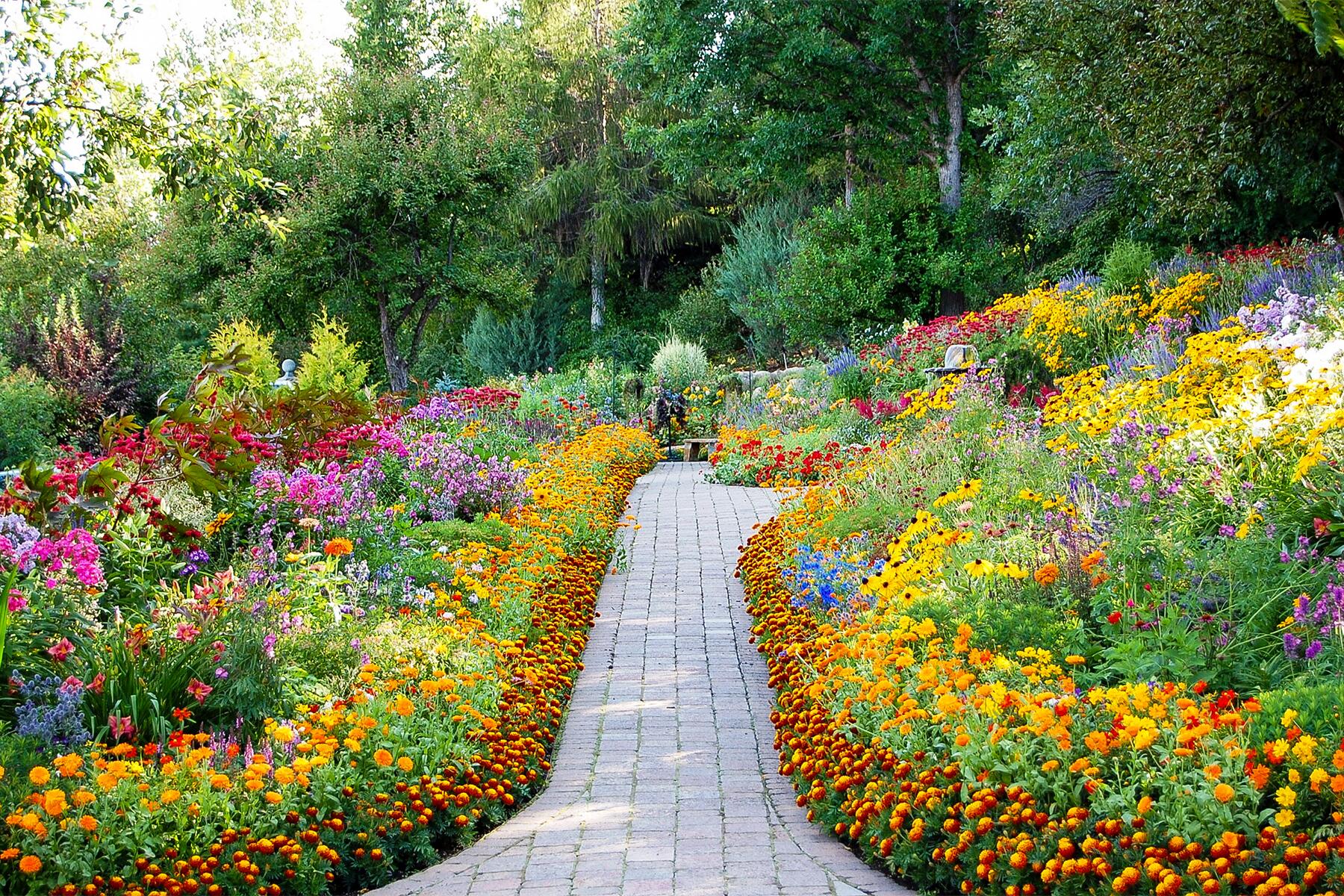 10-Flowers2022-Bibler Gardens Path