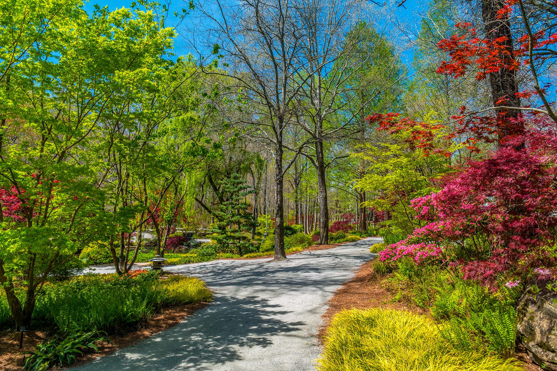 2-Fowers2022-Gibbs-shutterstock_1907040883