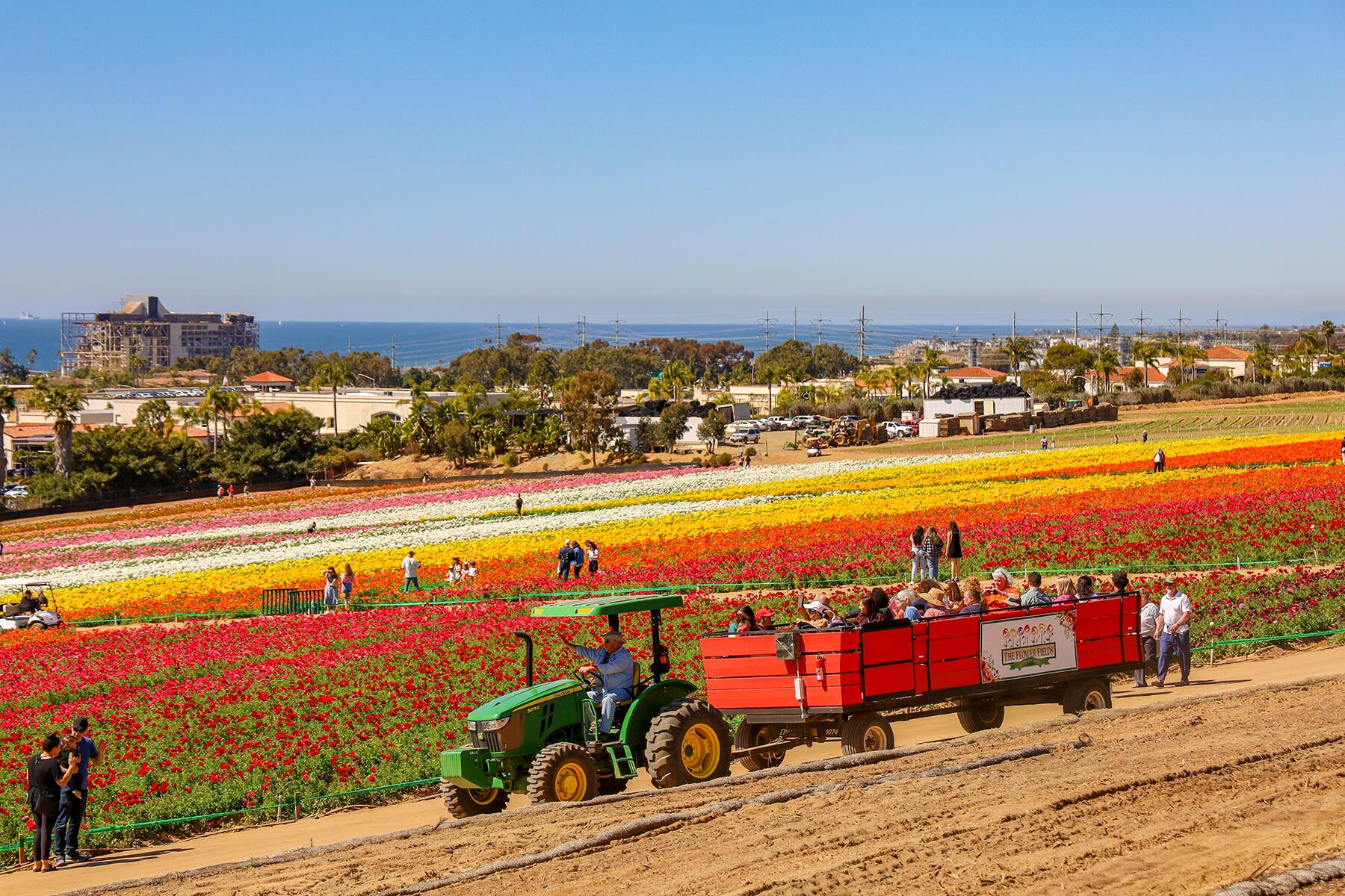 3-Flowers2022-Trails-shutterstock_2136972679