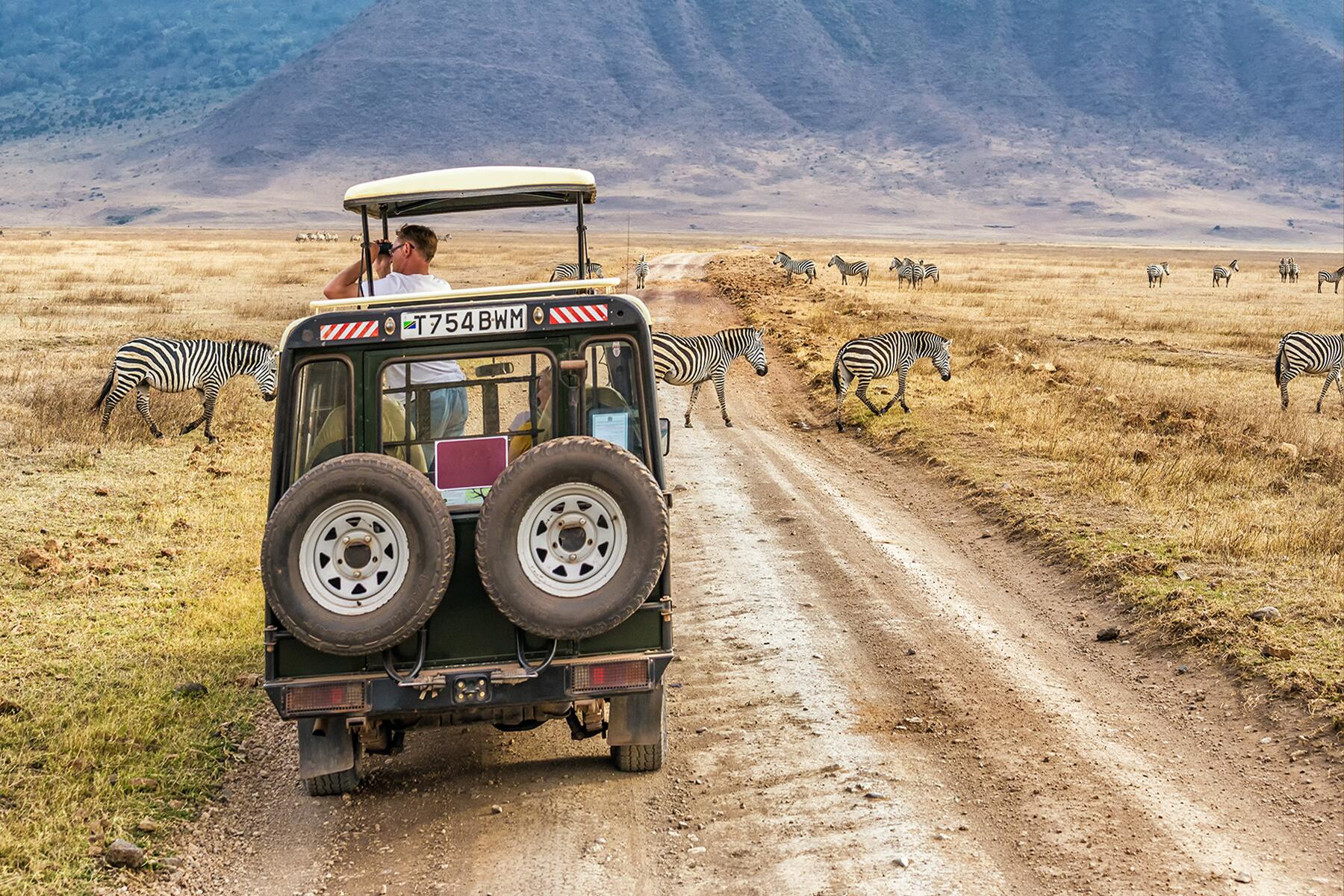 What Not to Do on Safari