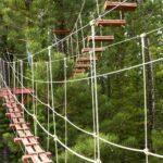 <a href='https://www.fodors.com/world/north-america/usa/hawaii/big-island/experiences/news/photos/18-ultimate-things-to-do-on-hawaiis-big-island#'>From &quot;25 Ultimate Things to Do on Hawaii’s Big Island: Zipline Over Waterfalls and Rivers of the Windward Side&quot;</a>
