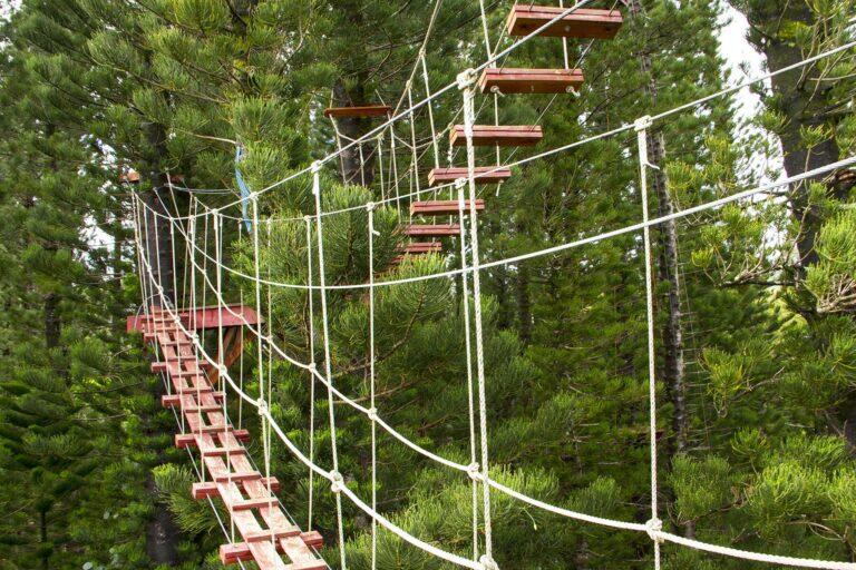 <a href='https://www.fodors.com/world/north-america/usa/hawaii/big-island/experiences/news/photos/18-ultimate-things-to-do-on-hawaiis-big-island#'>From &quot;25 Ultimate Things to Do on Hawaii’s Big Island: Zipline Over Waterfalls and Rivers of the Windward Side&quot;</a>